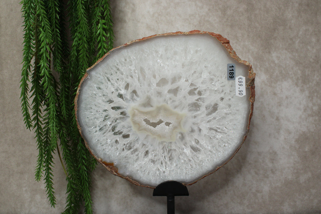 Agaat schijf #1189