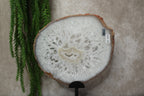Agaat schijf #1189
