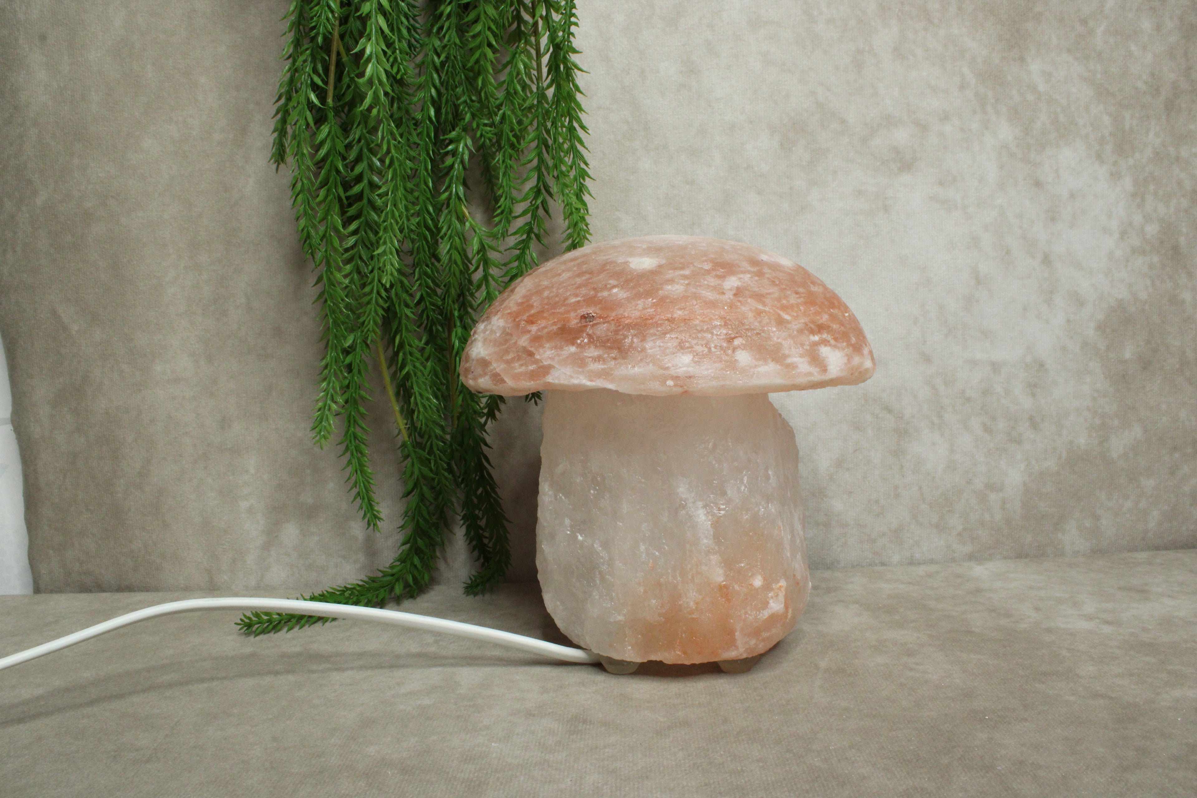 Zout lamp paddenstoel