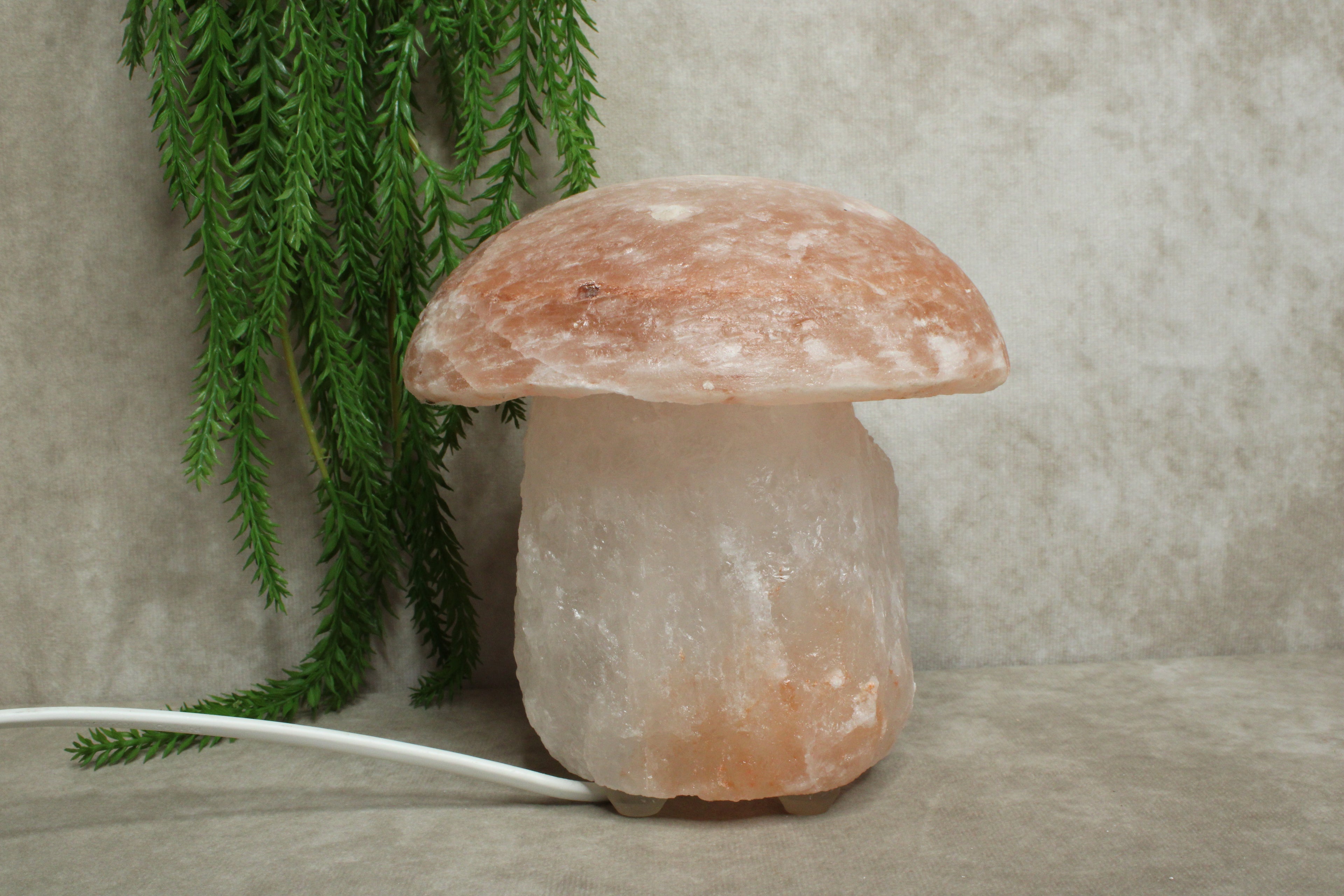 Zout lamp paddenstoel