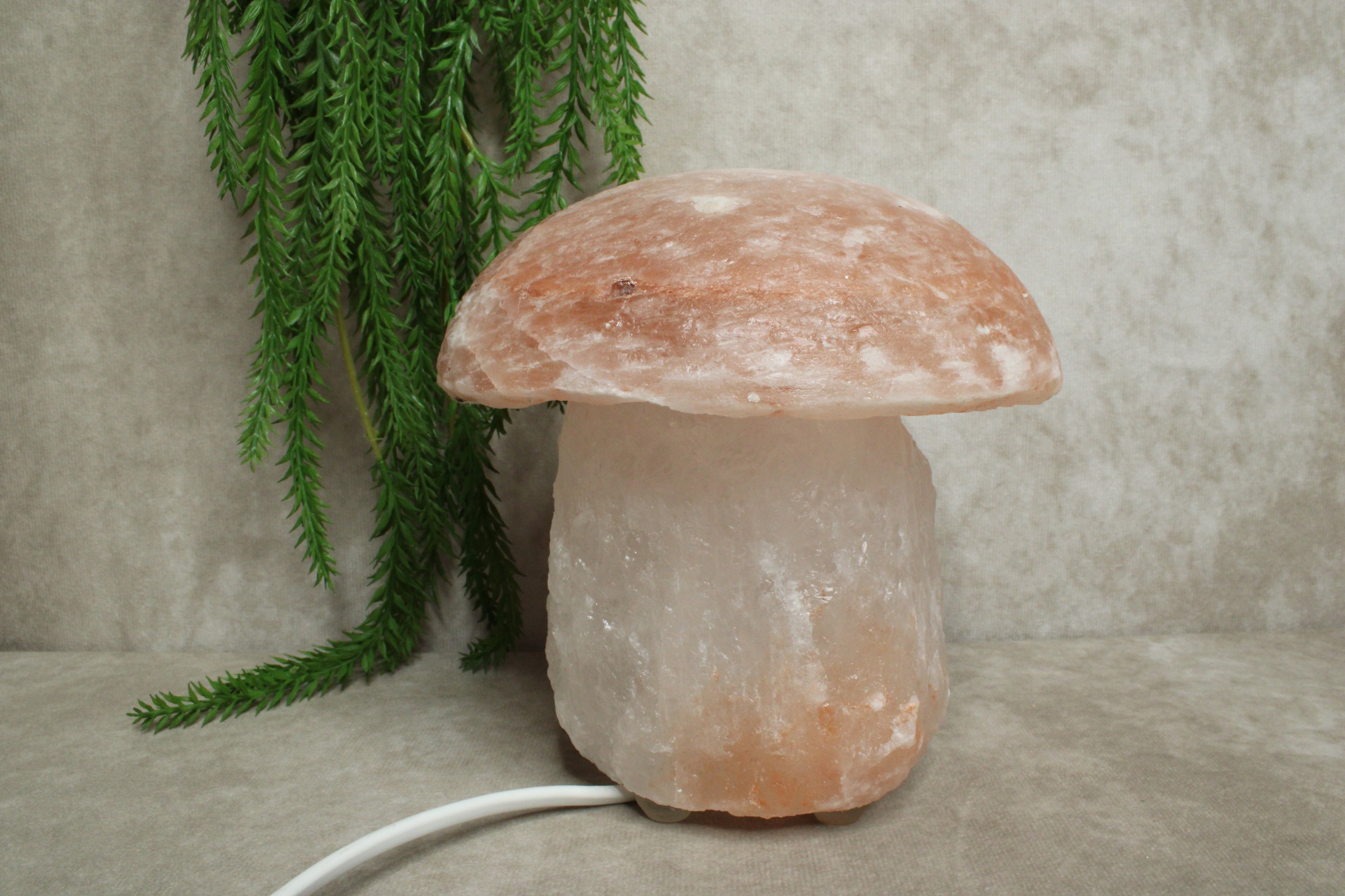 Zout lamp paddenstoel