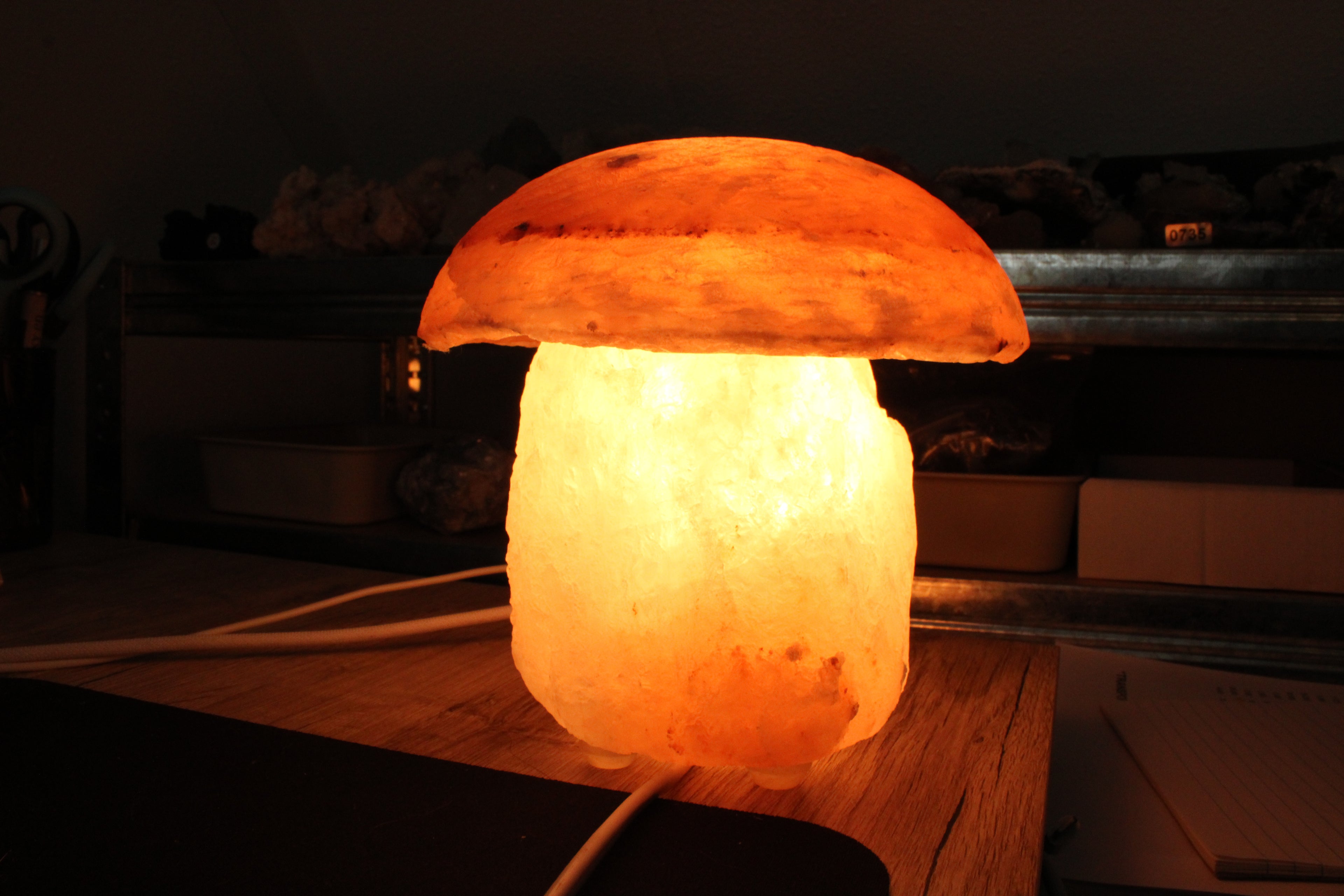 Zout lamp paddenstoel