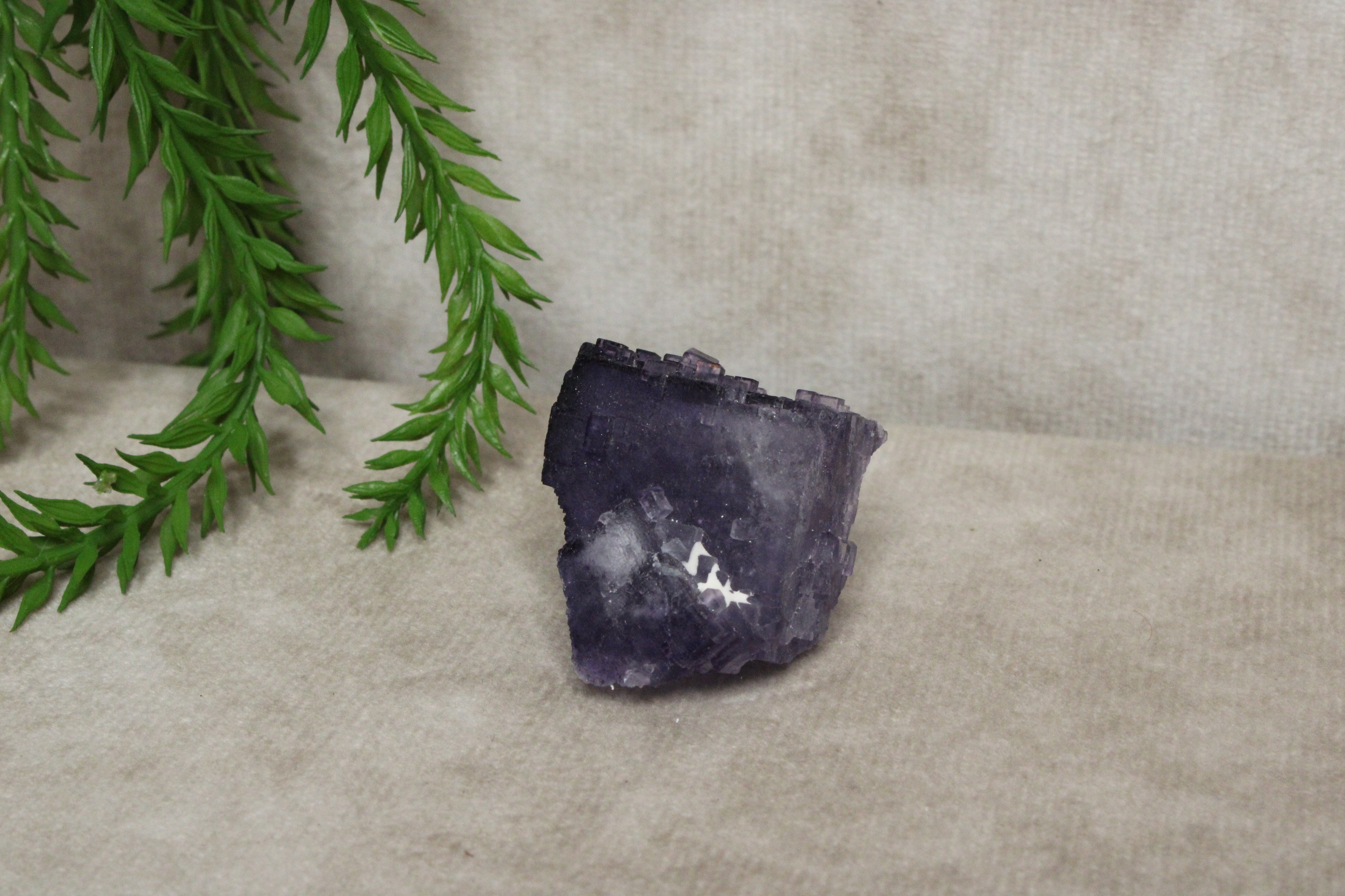 Xinjiang QR fluoriet #26