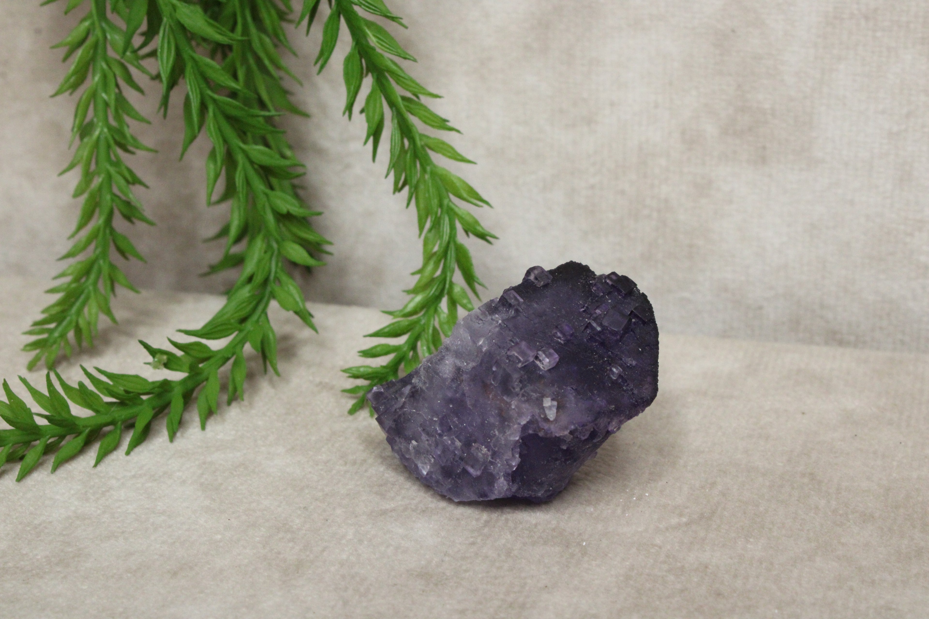 Xinjiang QR fluoriet #26