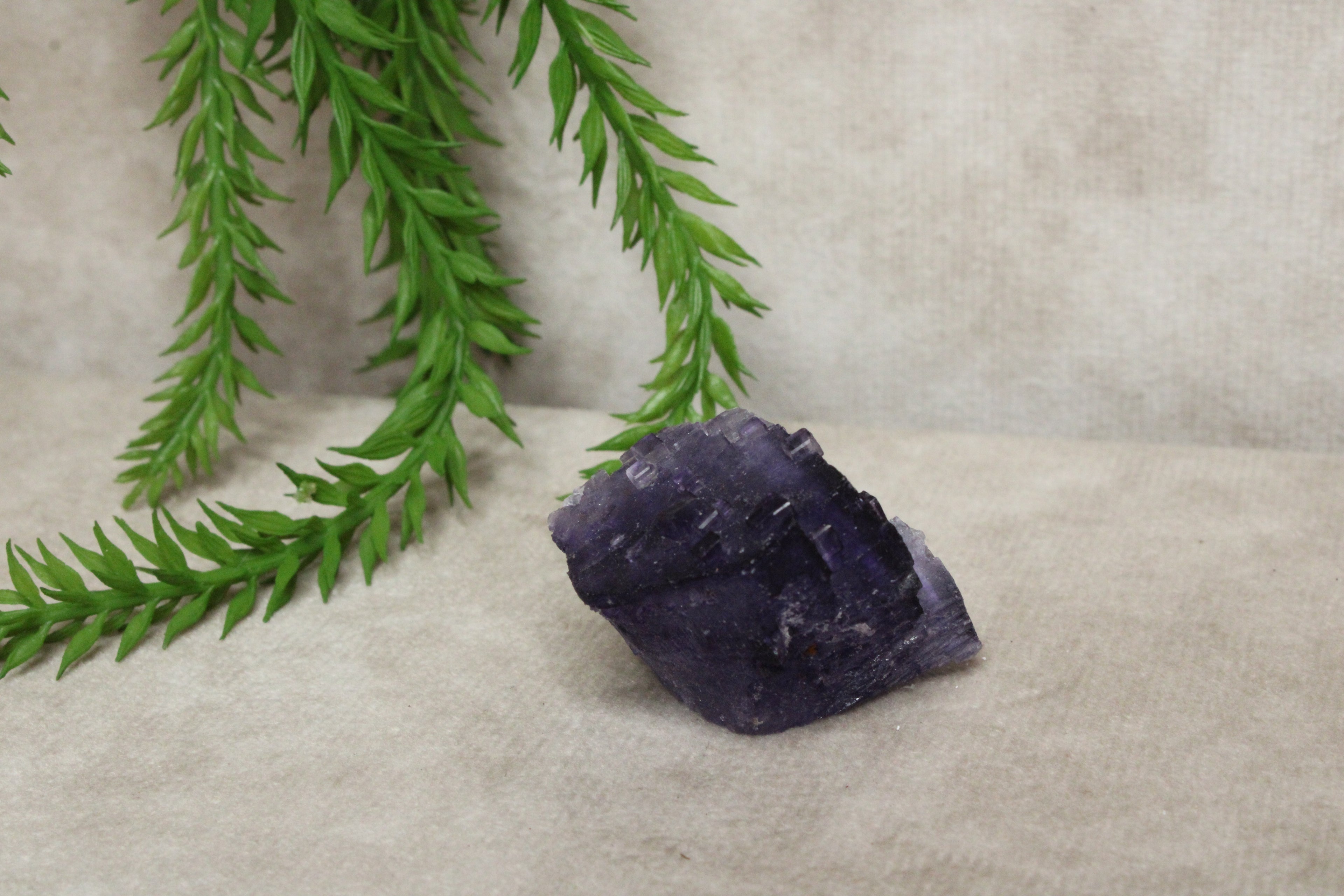 Xinjiang QR fluoriet #26