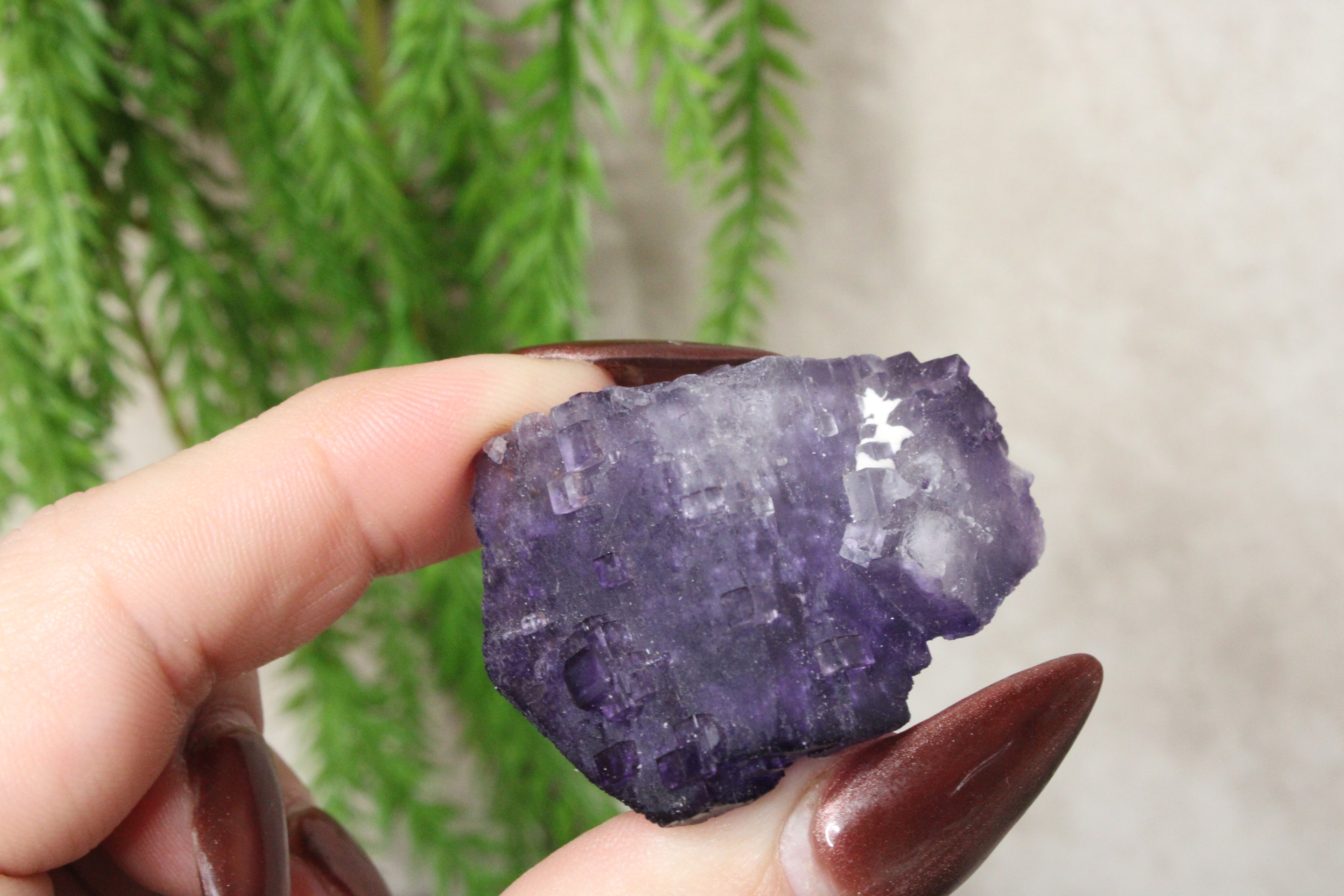 Xinjiang QR fluoriet #26