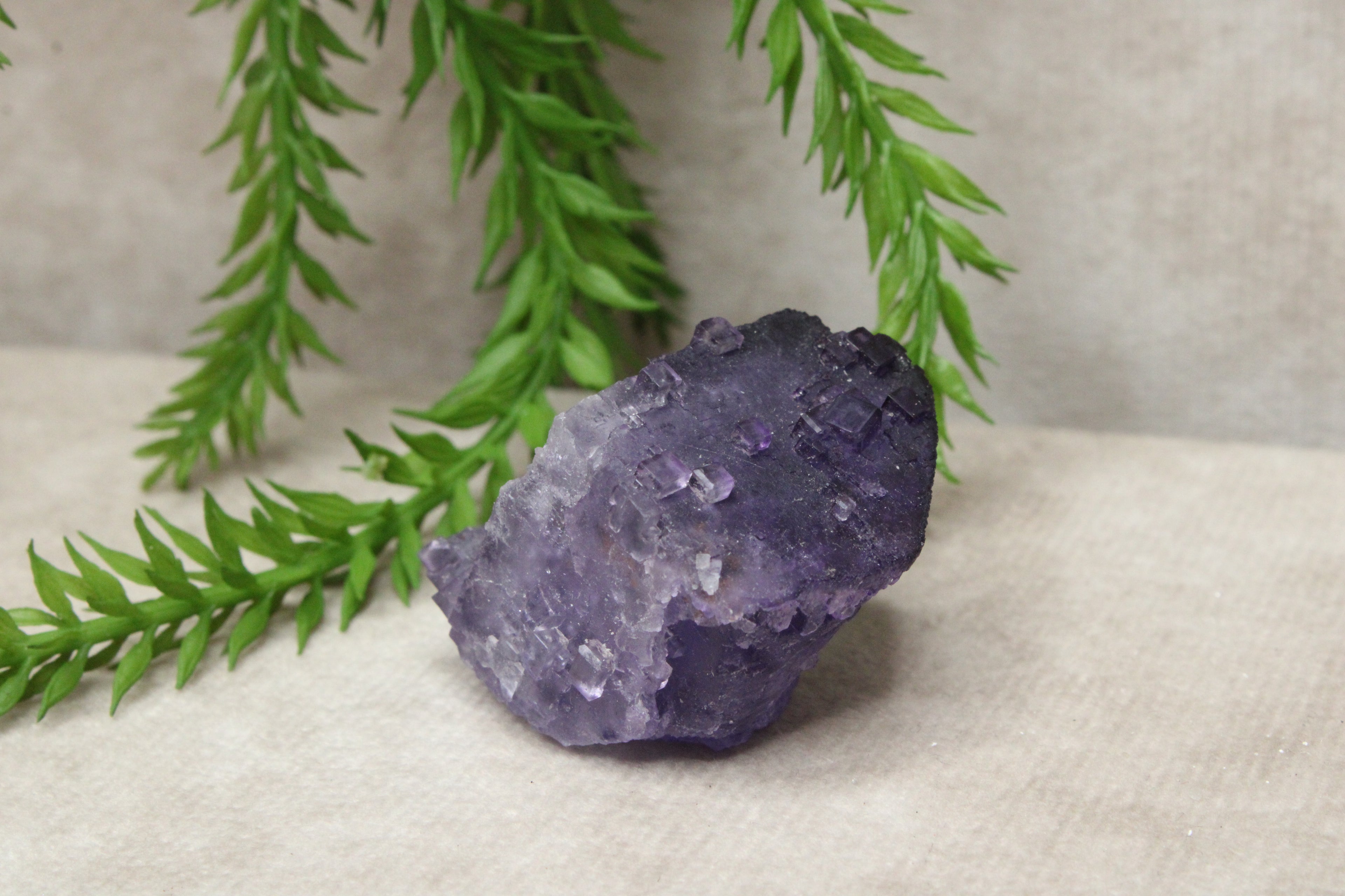 Xinjiang QR fluoriet #26