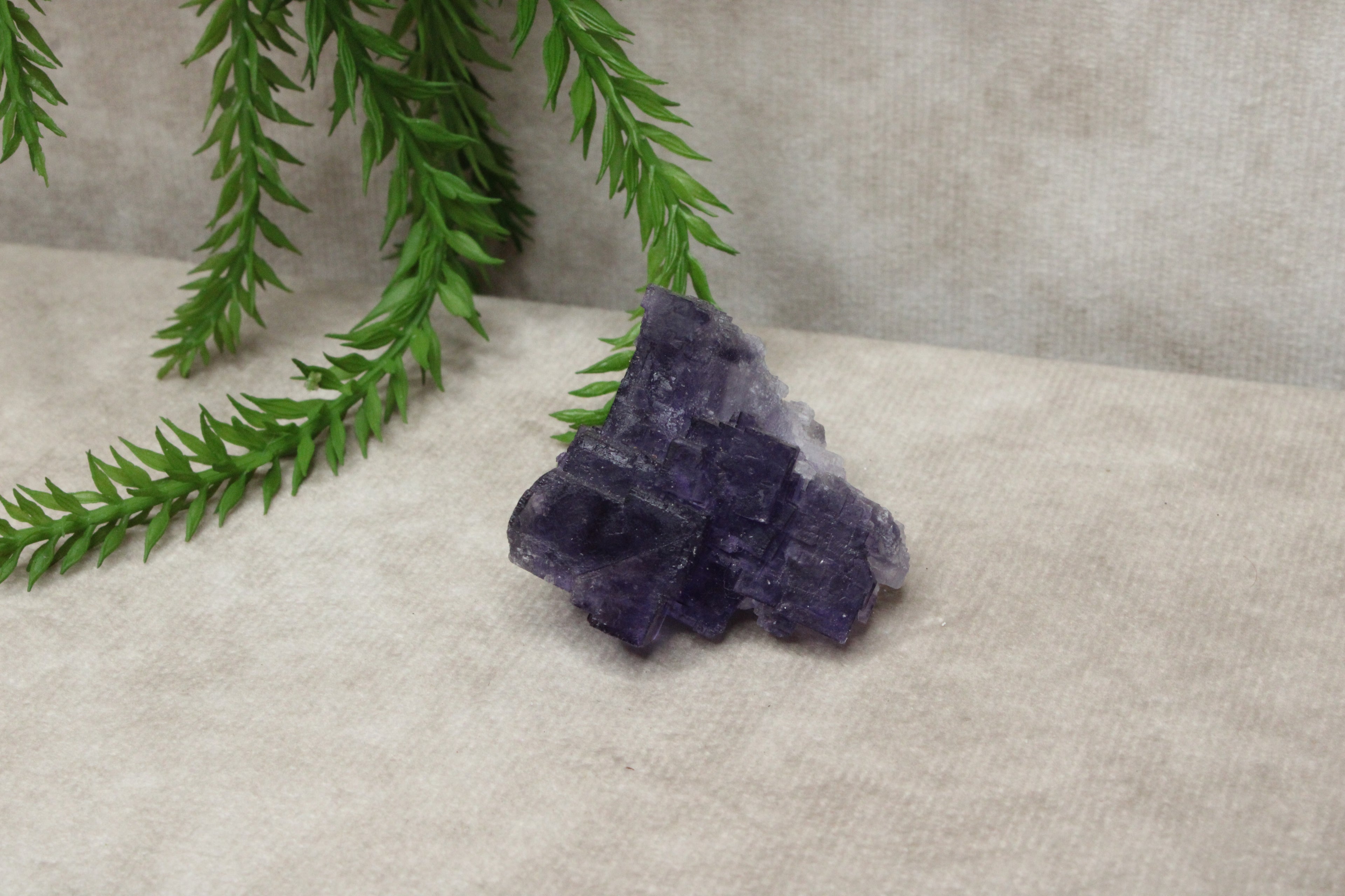 Xinjiang QR fluoriet #25