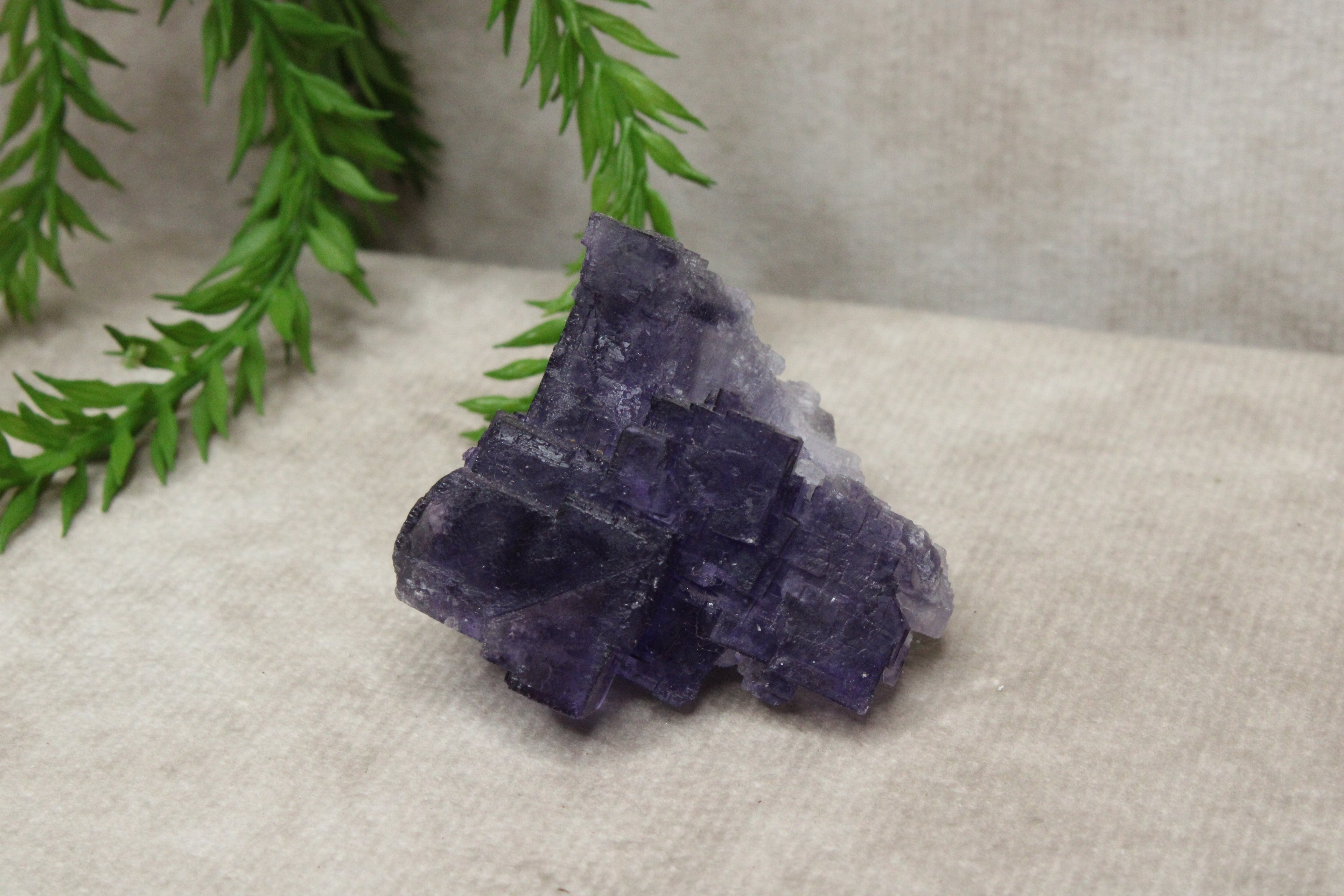 Xinjiang QR fluoriet #25