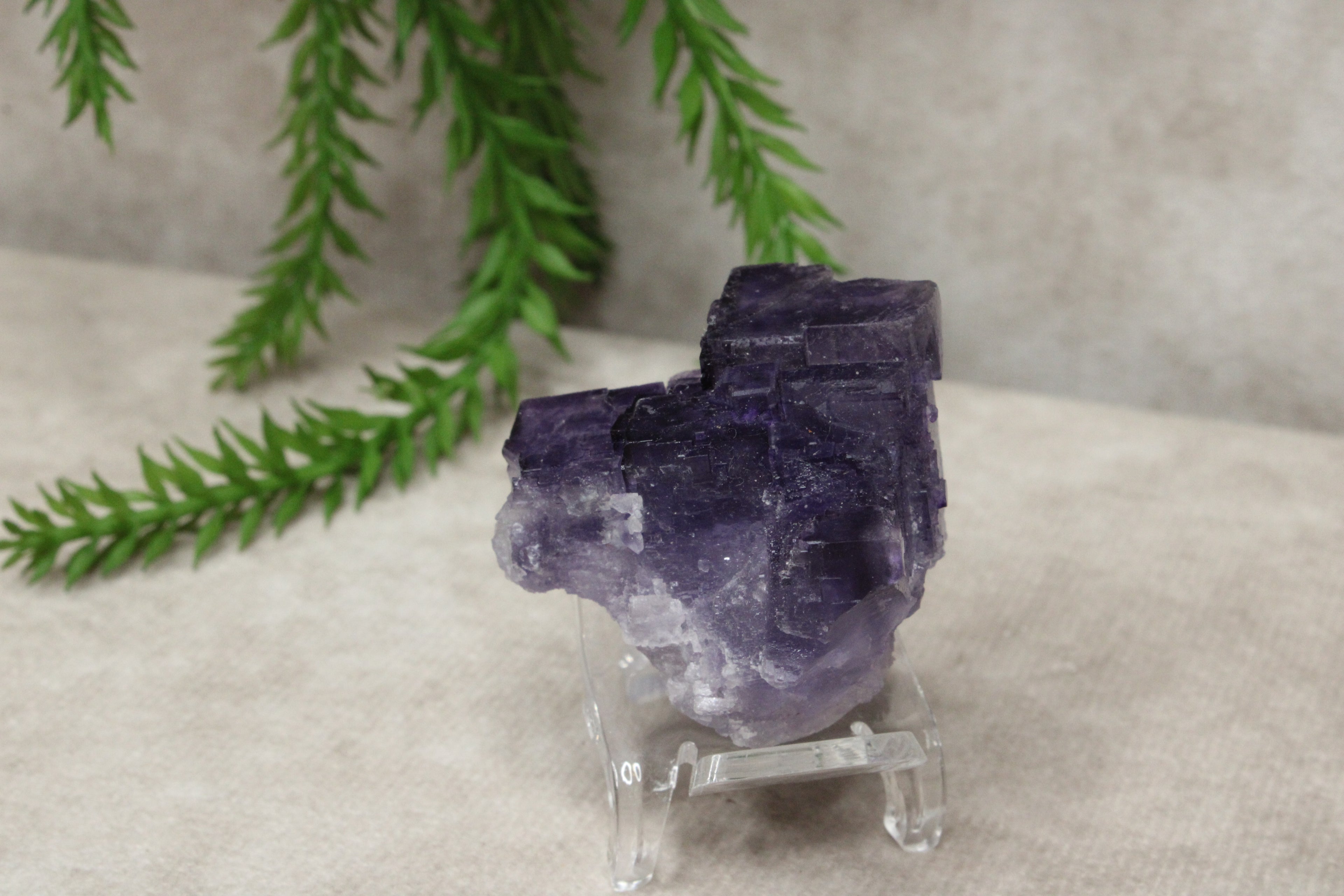 Xinjiang QR fluoriet #25