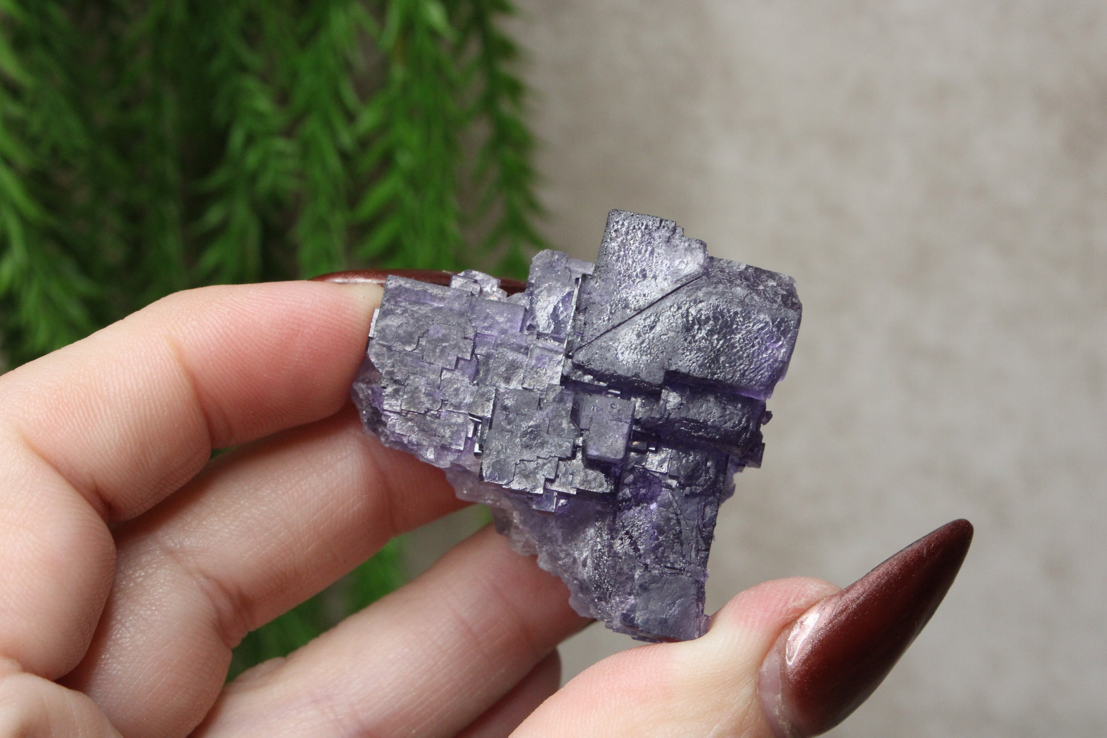 Xinjiang QR fluoriet #25