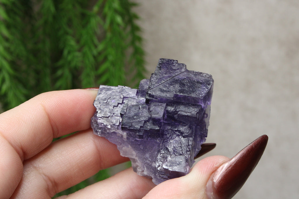 Xinjiang QR fluoriet #25