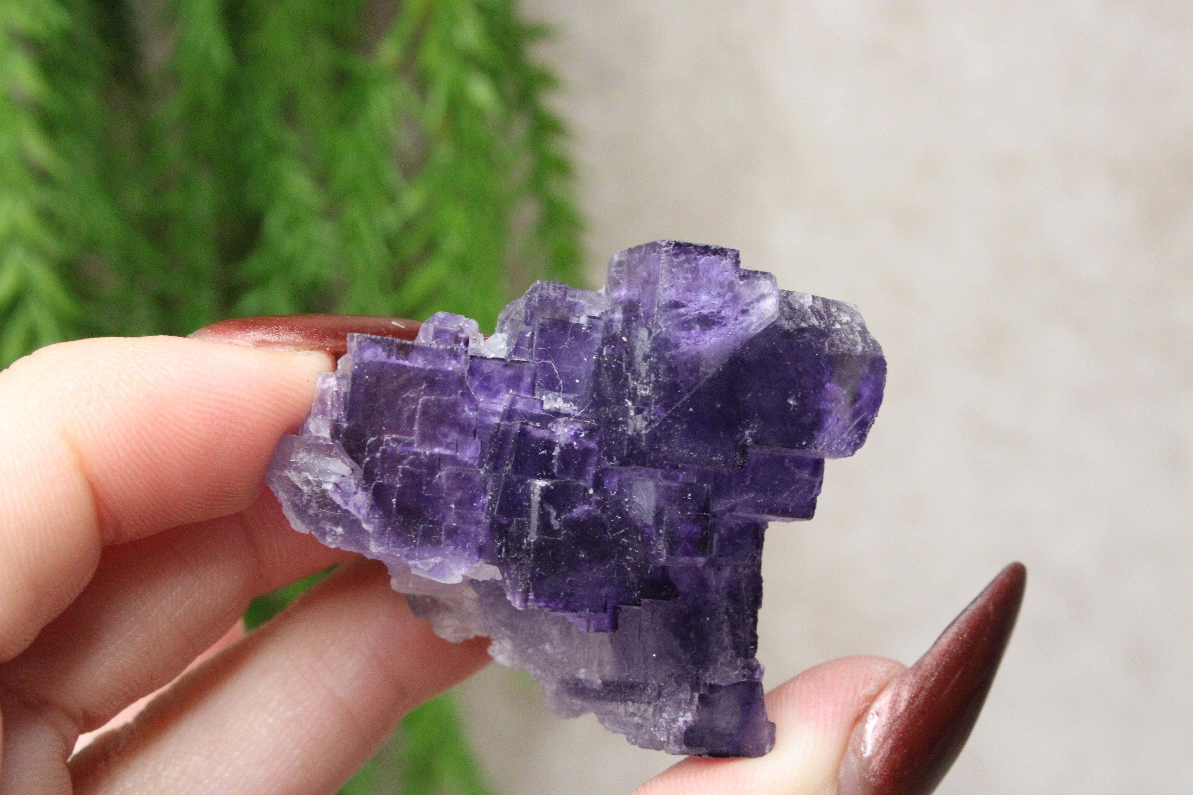 Xinjiang QR fluoriet #25