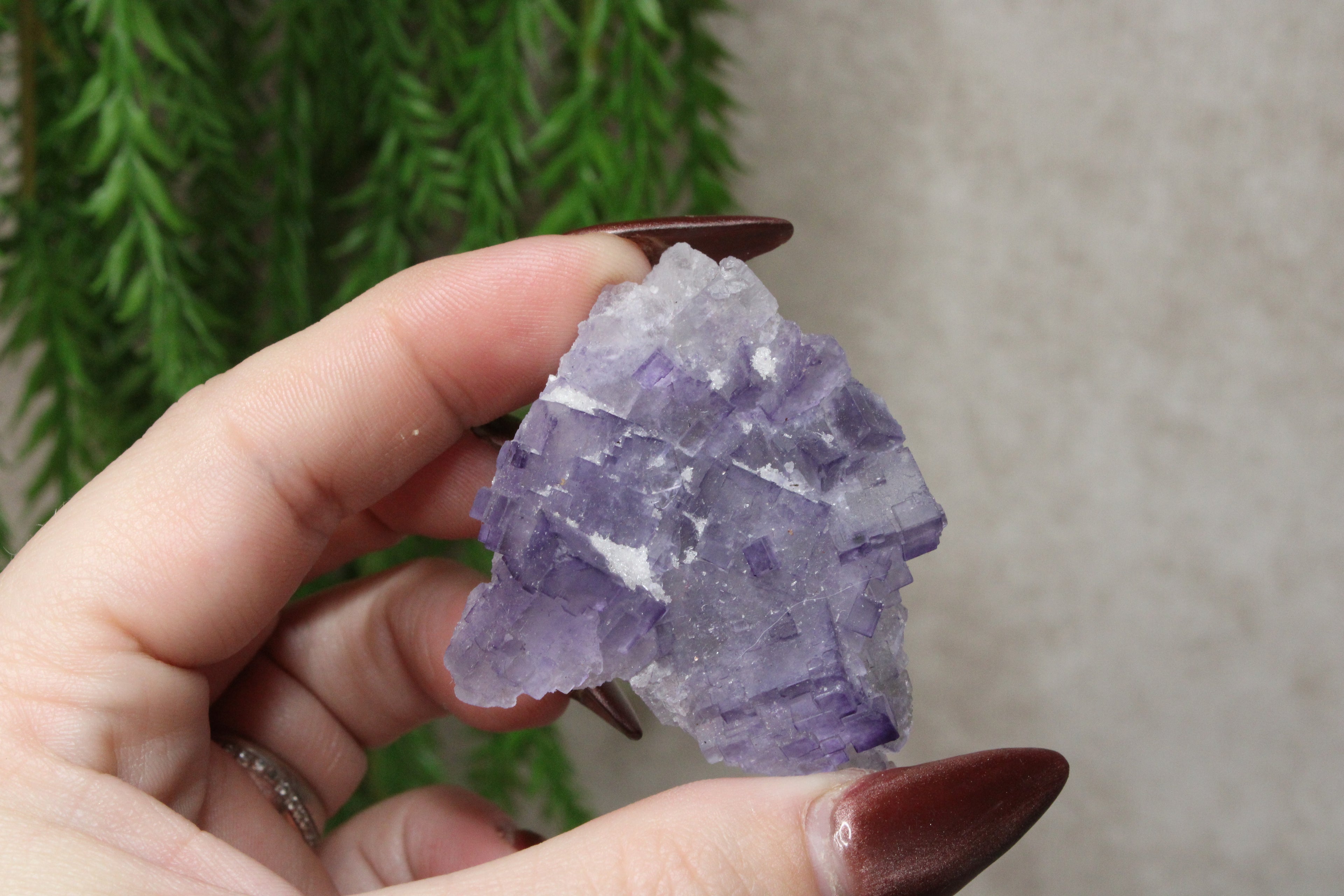 Xinjiang QR fluoriet #36