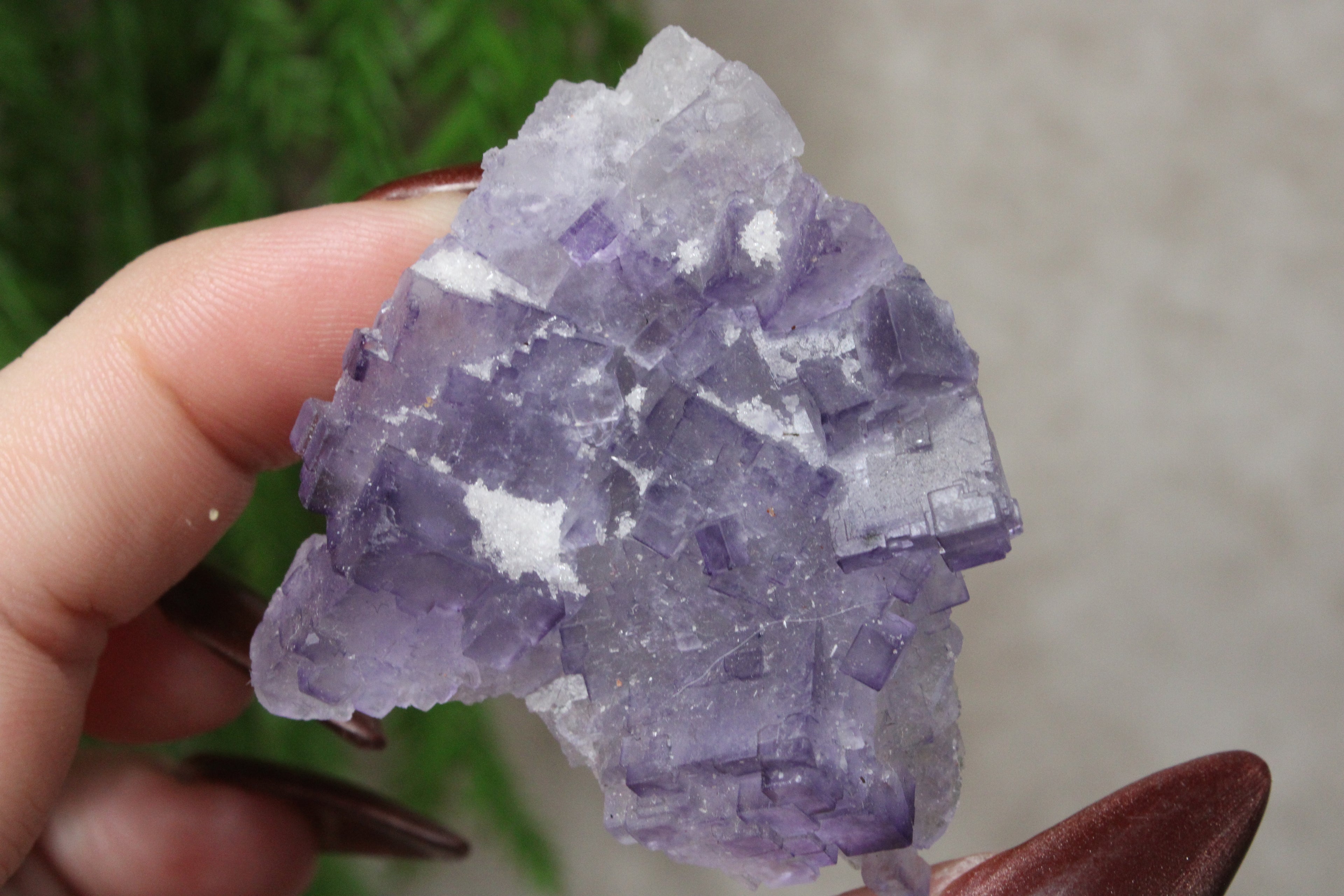 Xinjiang QR fluoriet #36