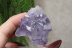 Xinjiang QR fluoriet #36