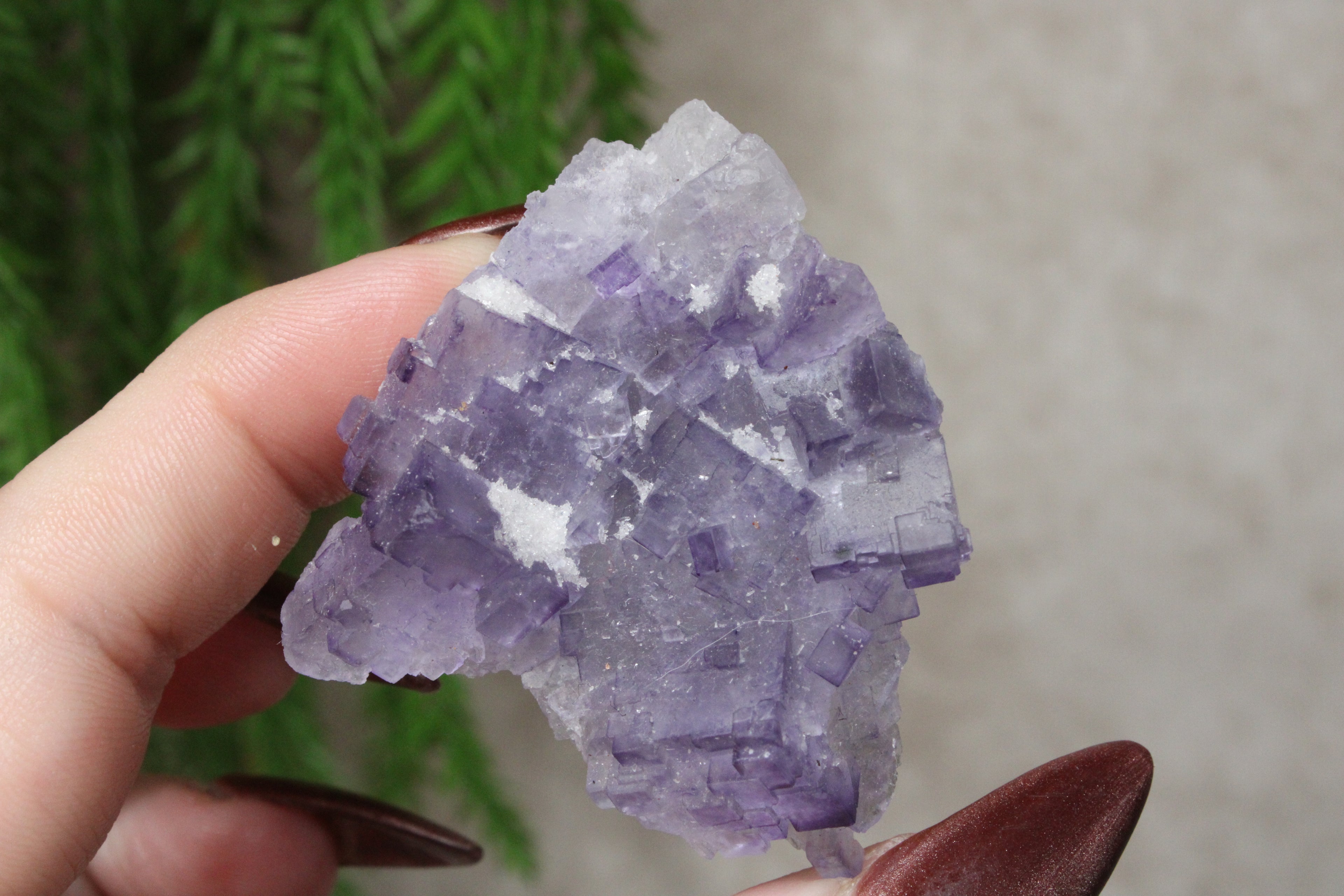 Xinjiang QR fluoriet #36