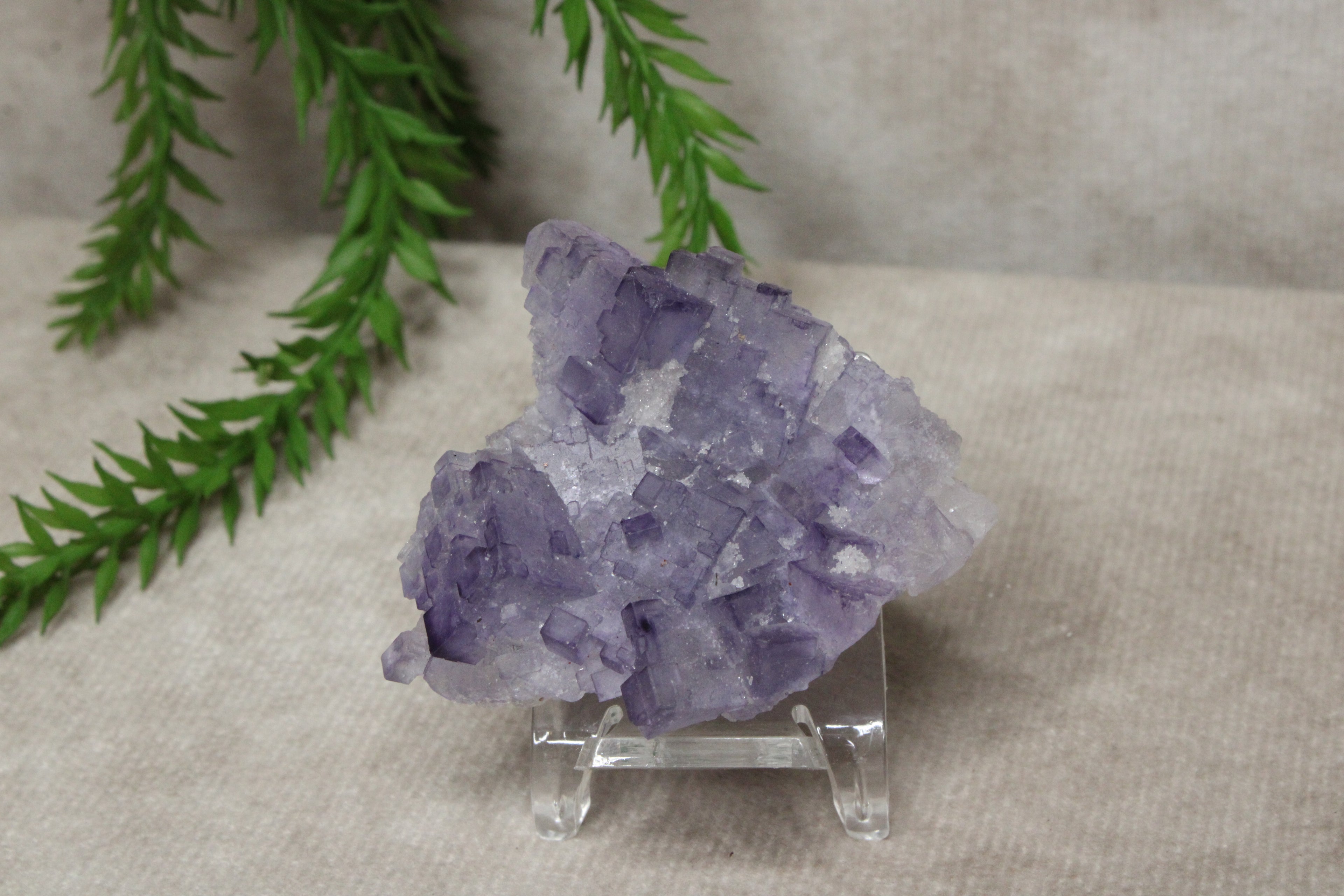 Xinjiang QR fluoriet #36