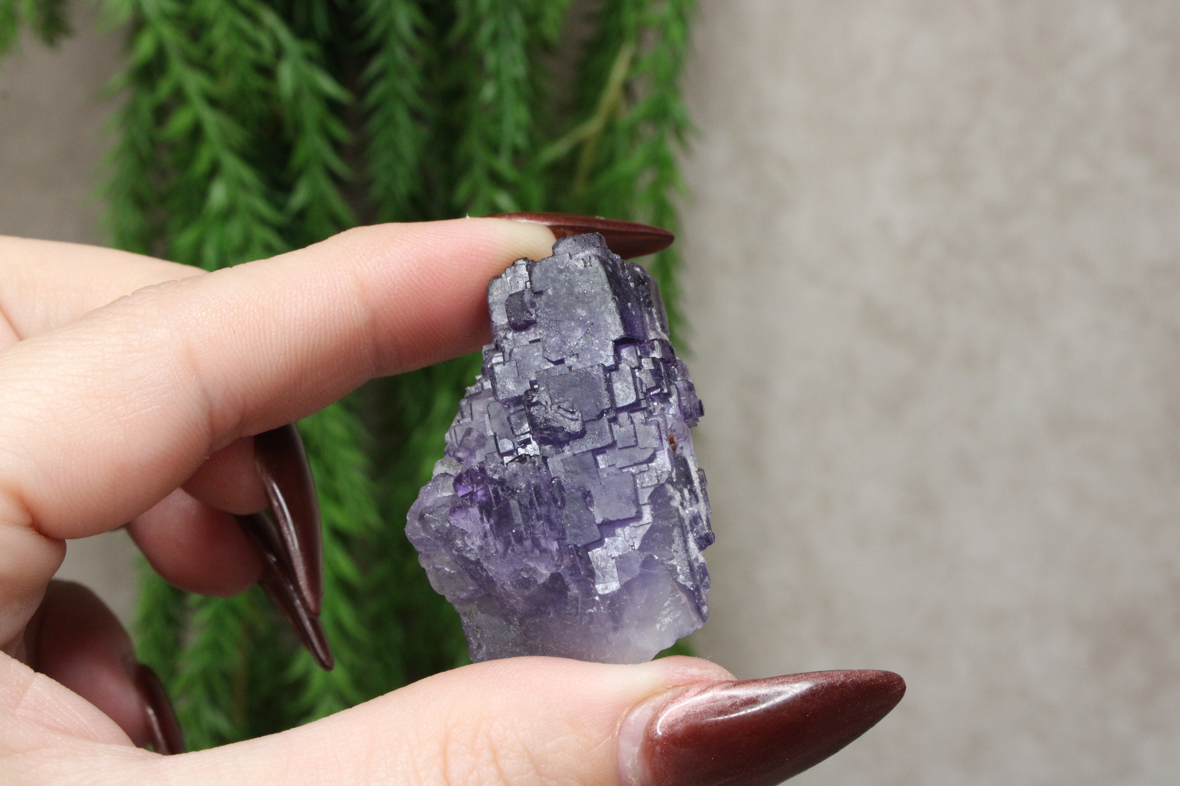 Xinjiang QR fluoriet #43