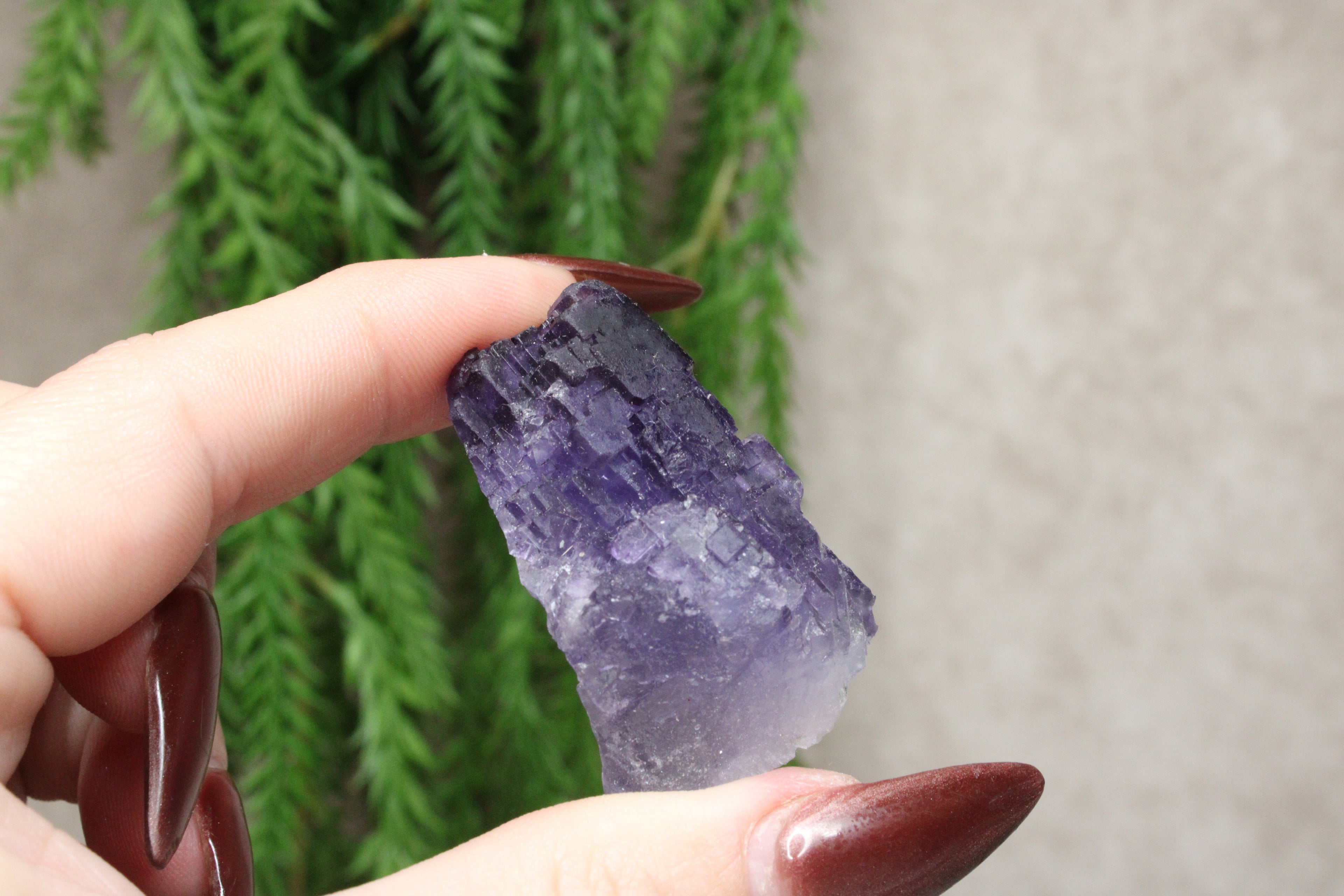 Xinjiang QR fluoriet #43