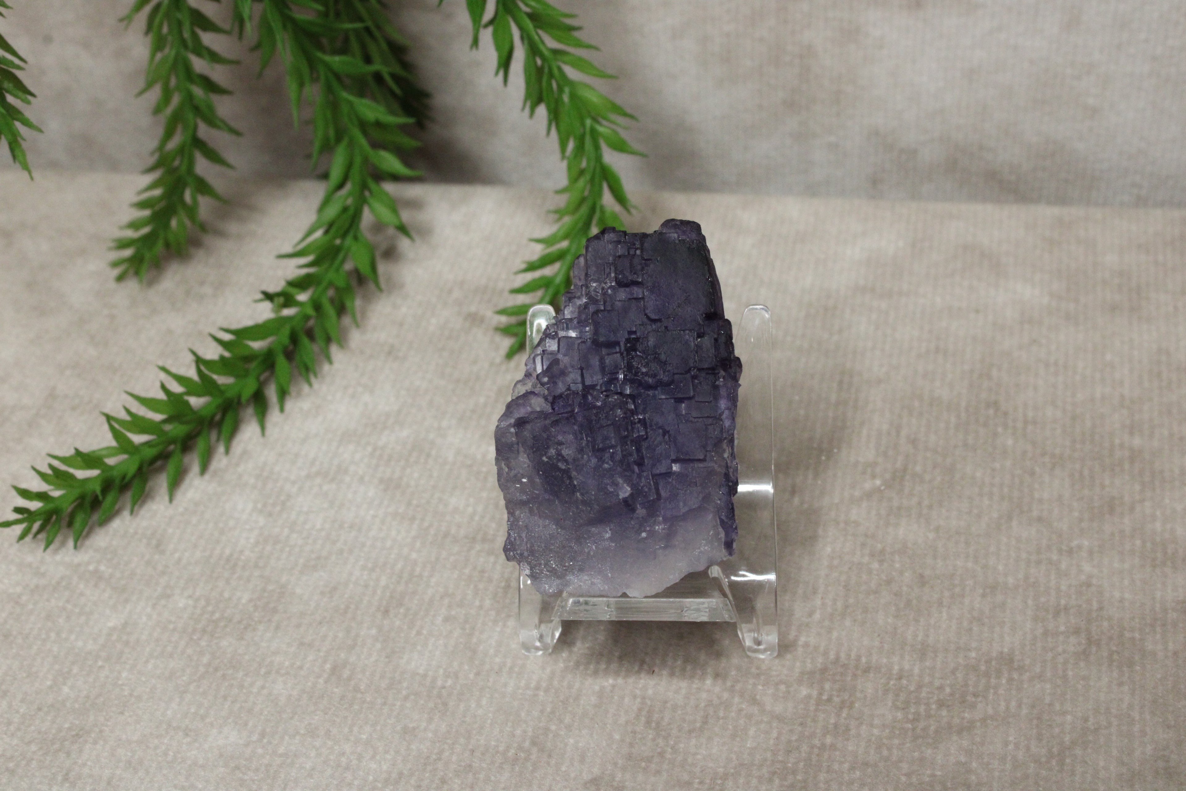 Xinjiang QR fluoriet #43