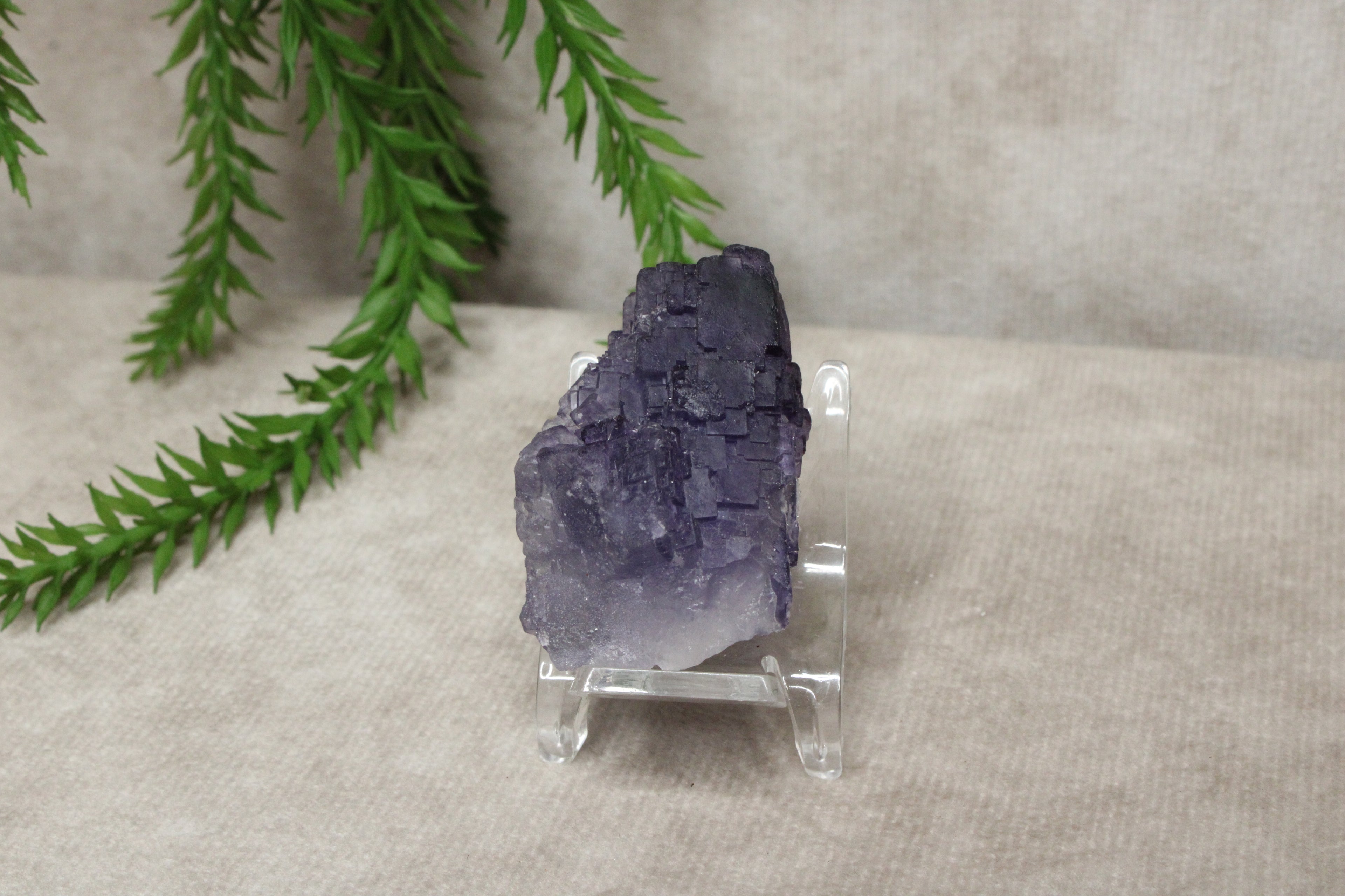 Xinjiang QR fluoriet #43