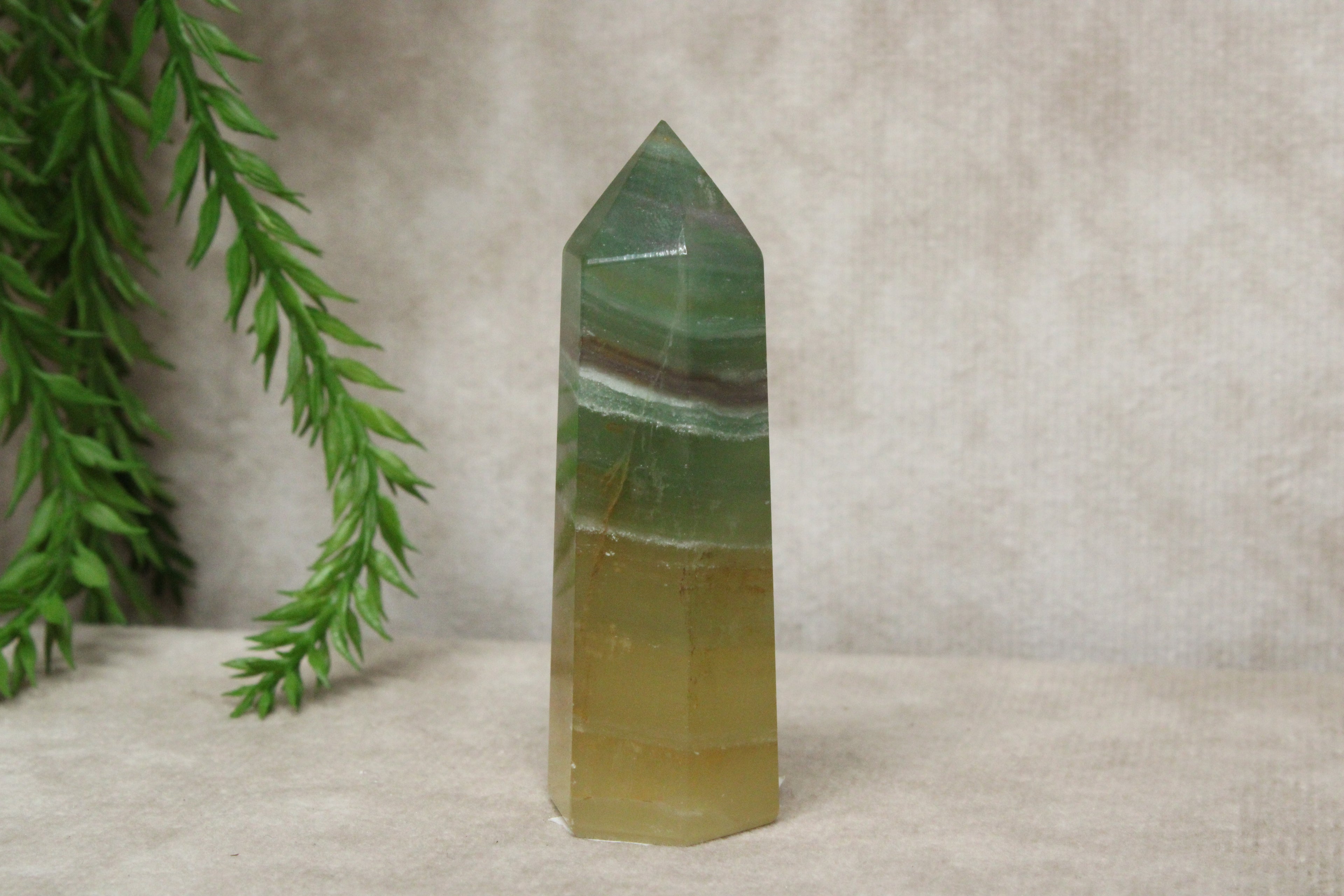 Mango calciet toren #183
