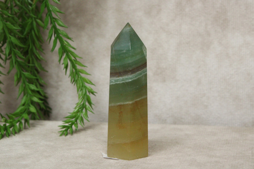 Mango calciet toren #183
