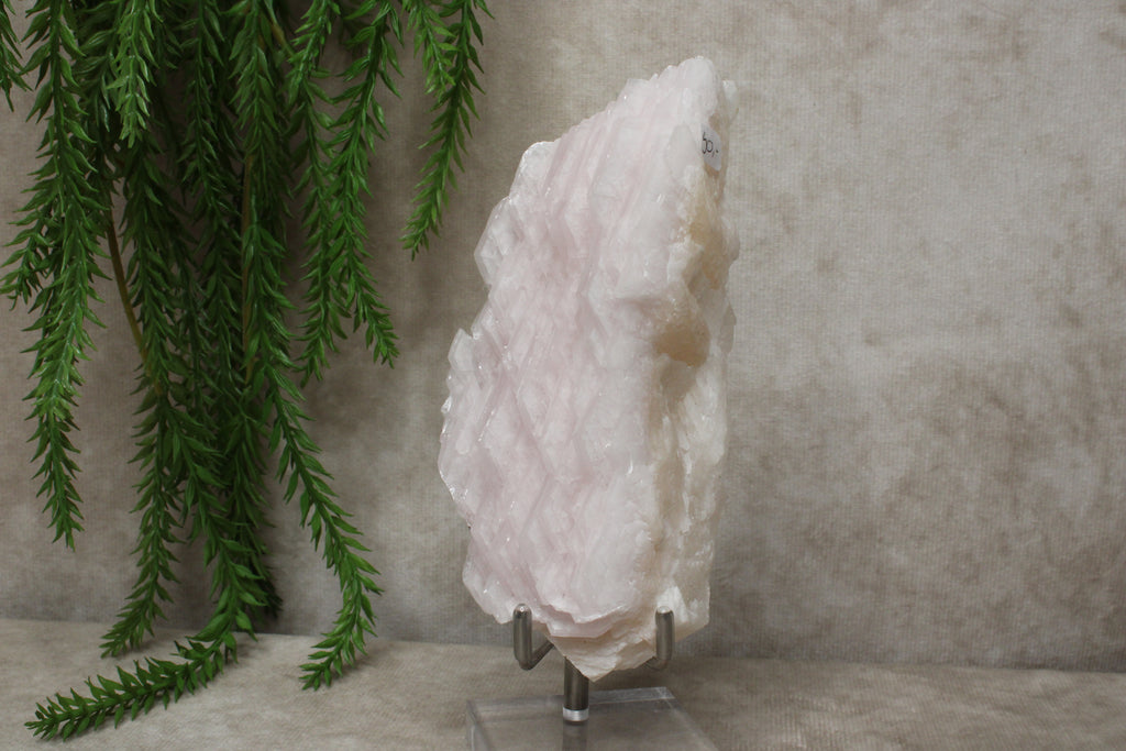 Calciet cluster FEL ROZE