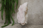Calciet cluster FEL ROZE
