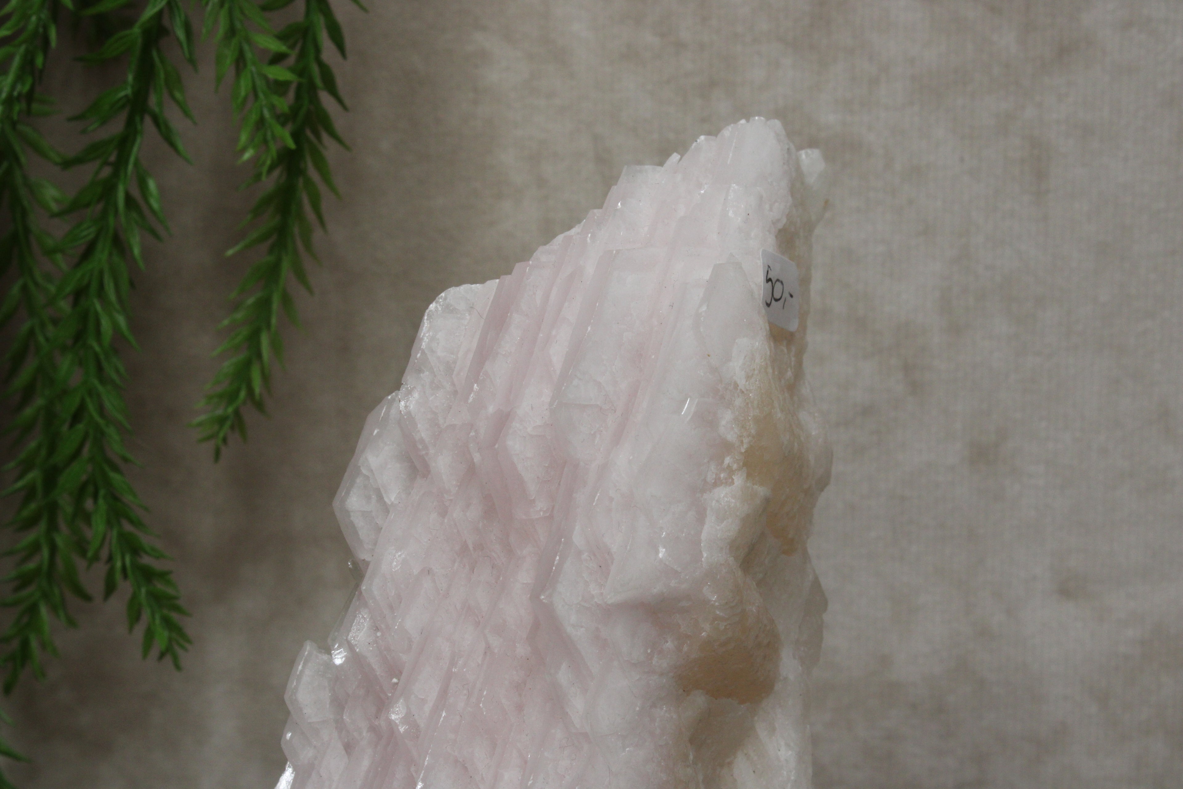 Calciet cluster FEL ROZE