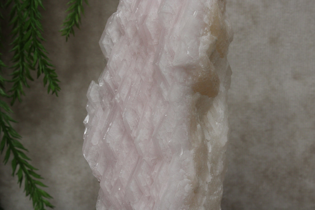 Calciet cluster FEL ROZE