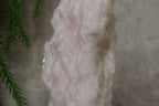 Calciet cluster FEL ROZE