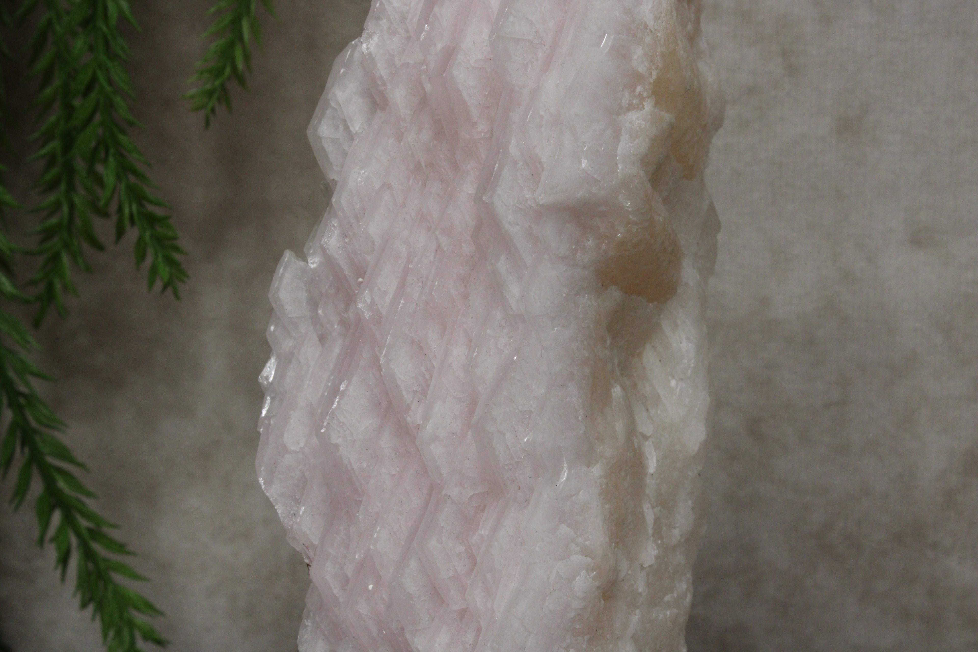 Calciet cluster FEL ROZE
