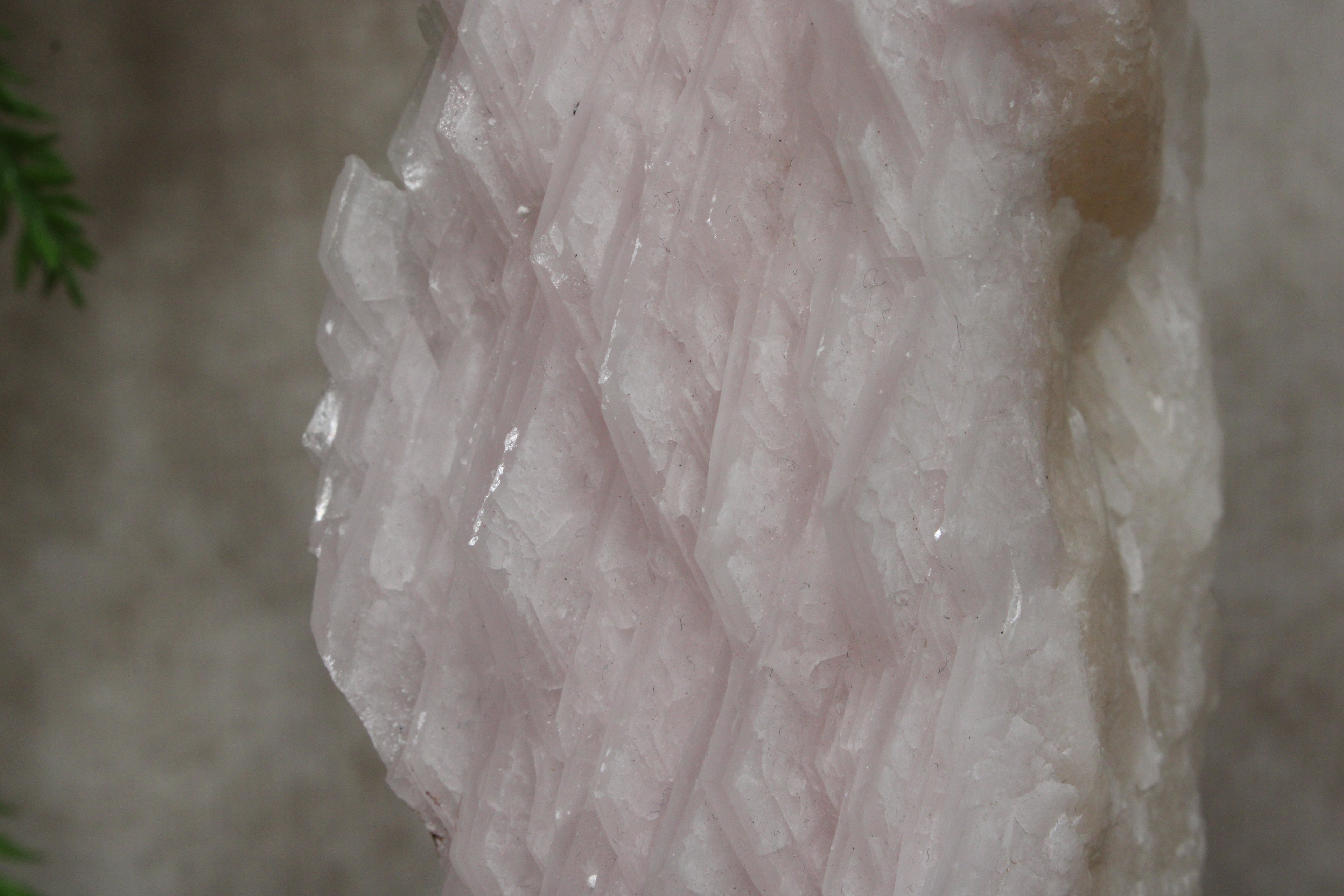 Calciet cluster FEL ROZE
