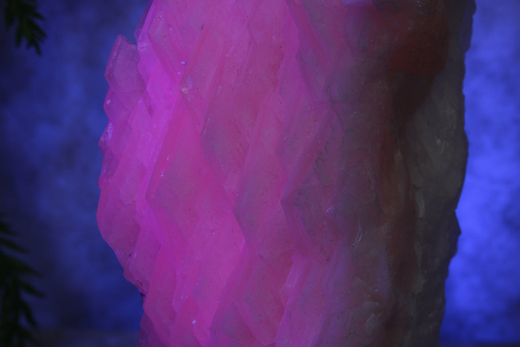 Calciet cluster FEL ROZE