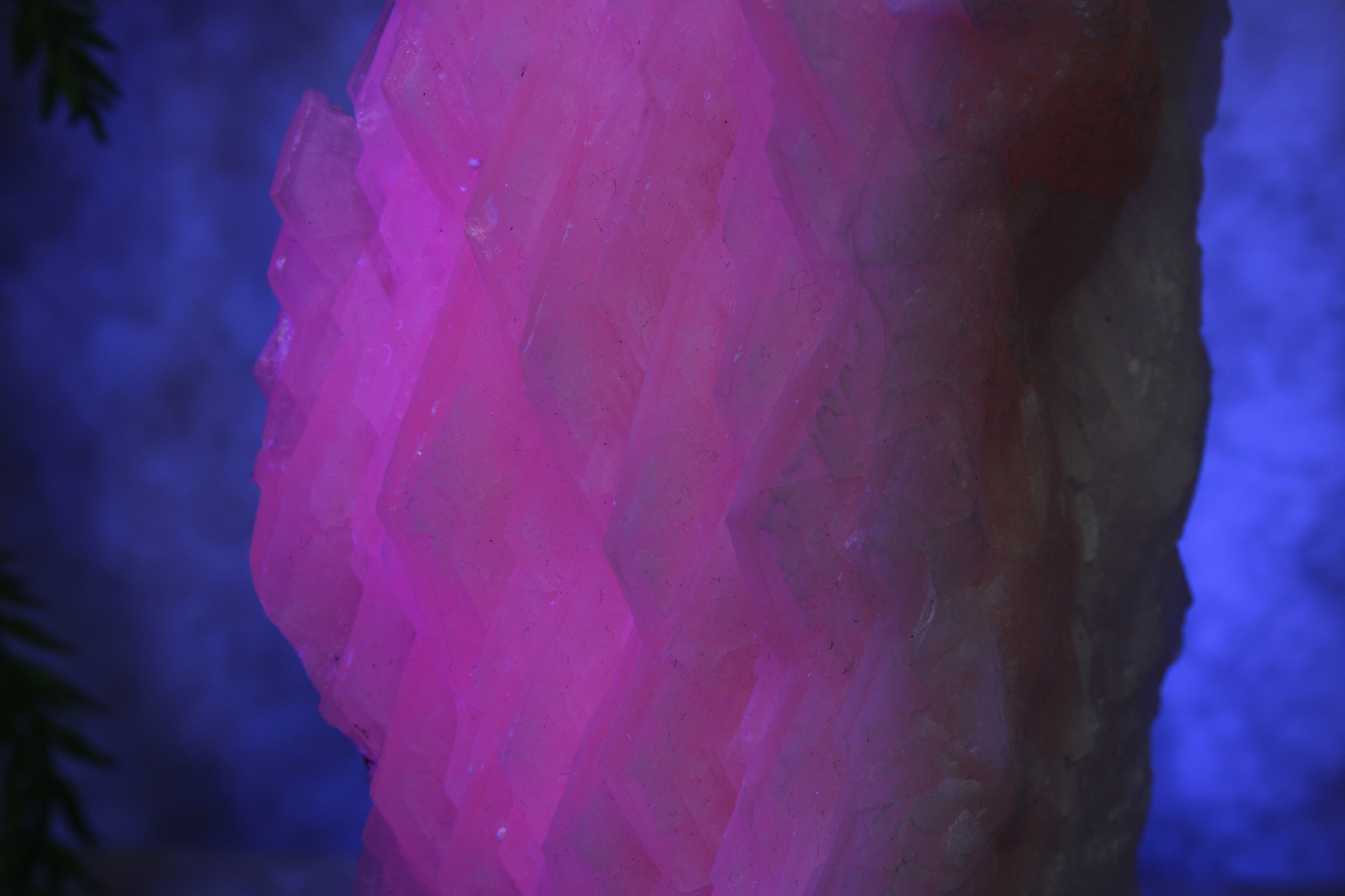 Calciet cluster FEL ROZE