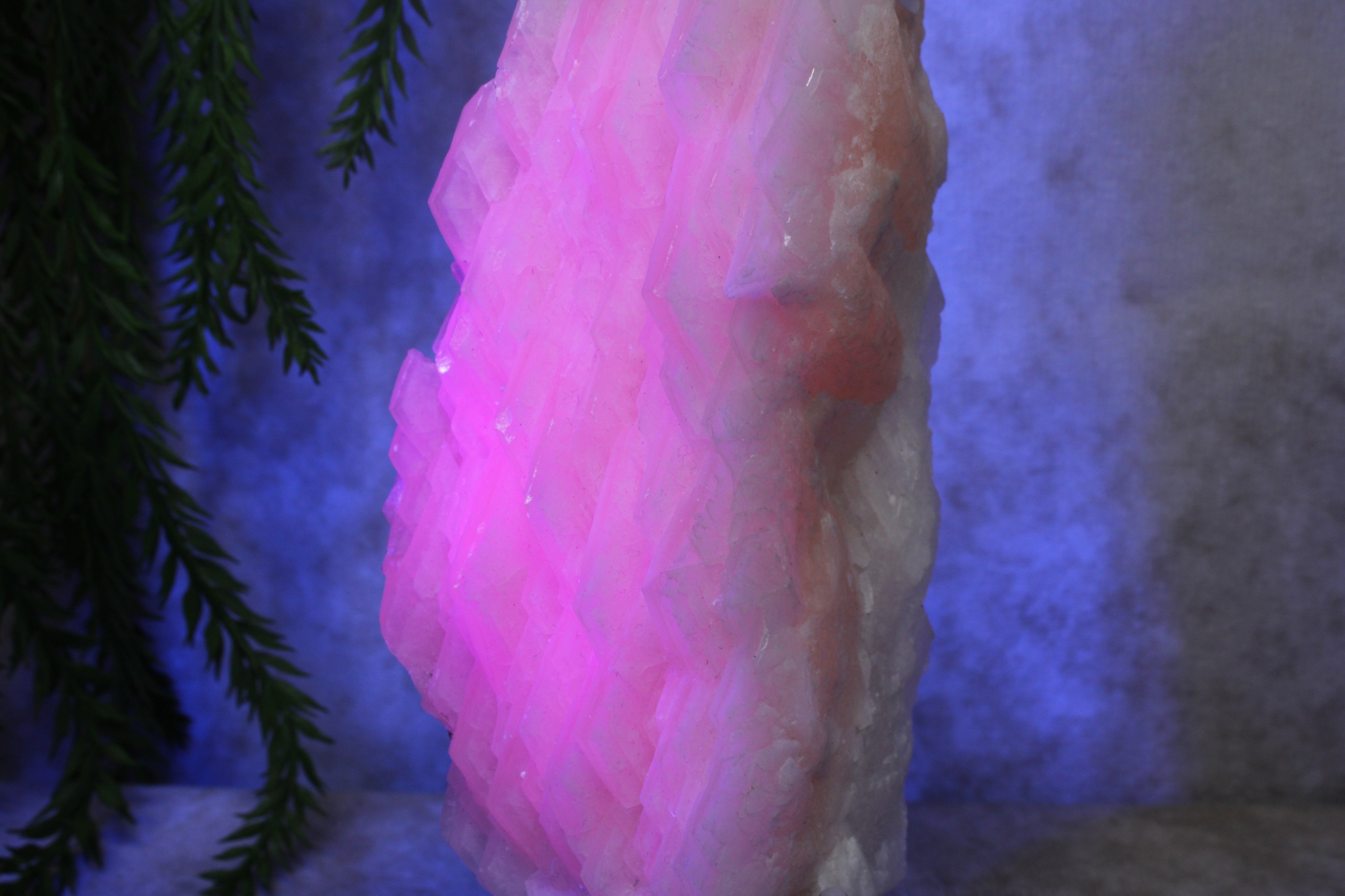 Calciet cluster FEL ROZE