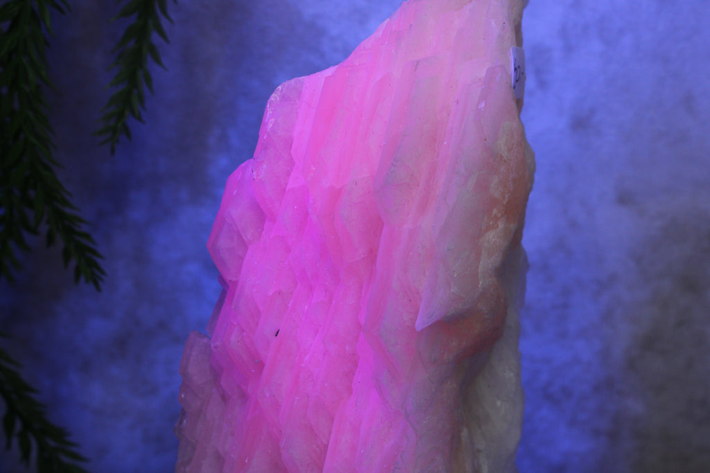 Calciet cluster FEL ROZE