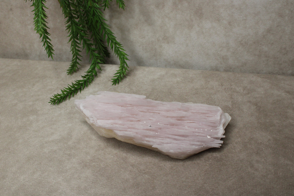Calciet cluster FEL ROZE
