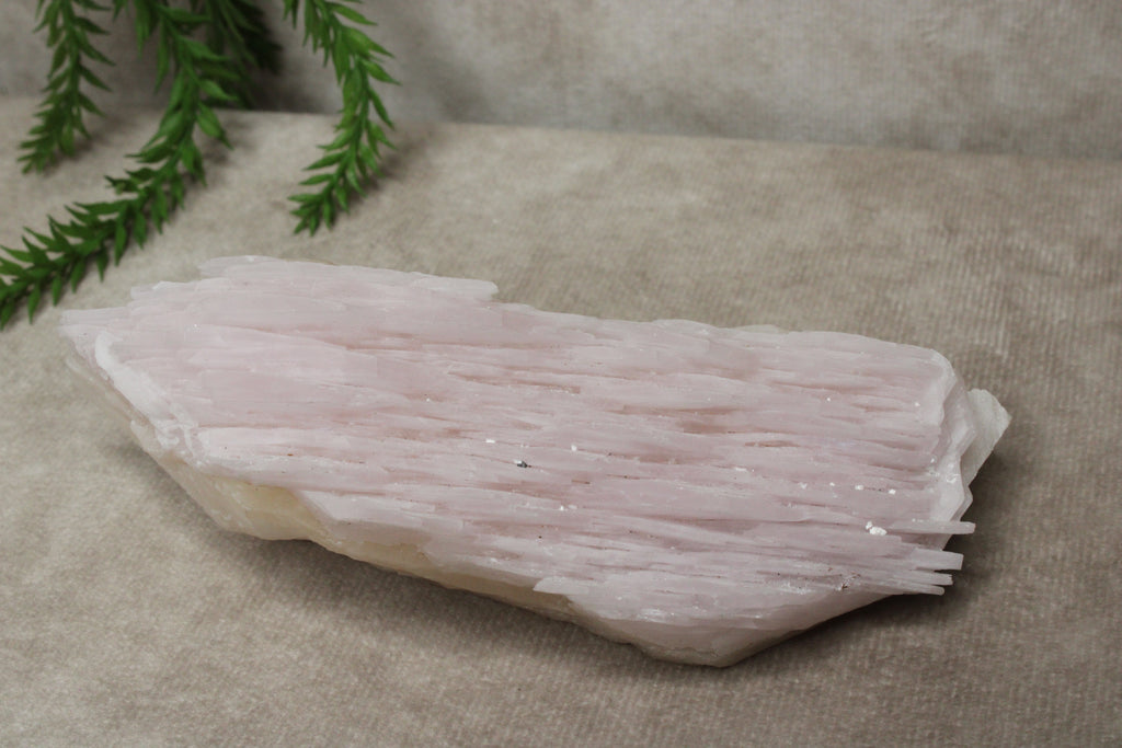 Calciet cluster FEL ROZE