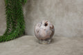 Bleu agate bol #1794