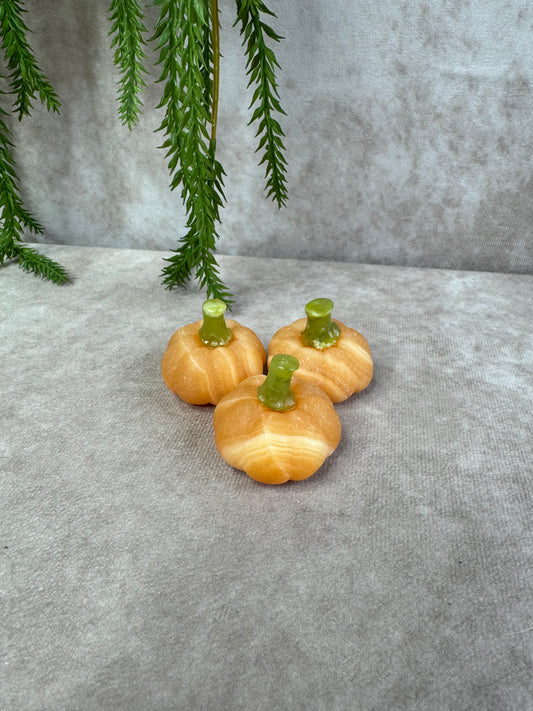 pompoen oranje calciet met groene steel