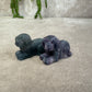 Fluoriet hond