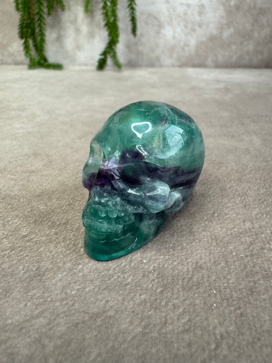 scull fluoriet #1