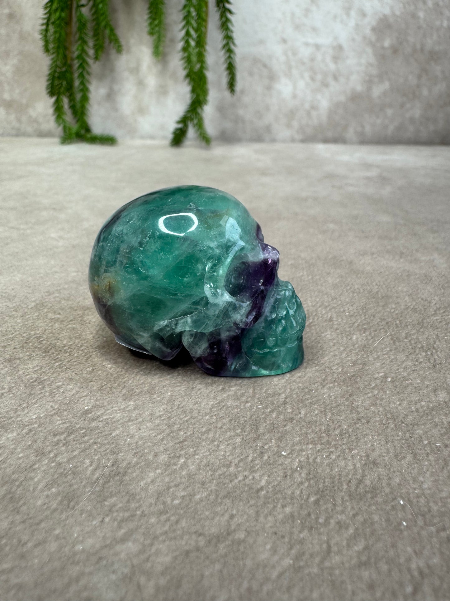 scull fluoriet #1