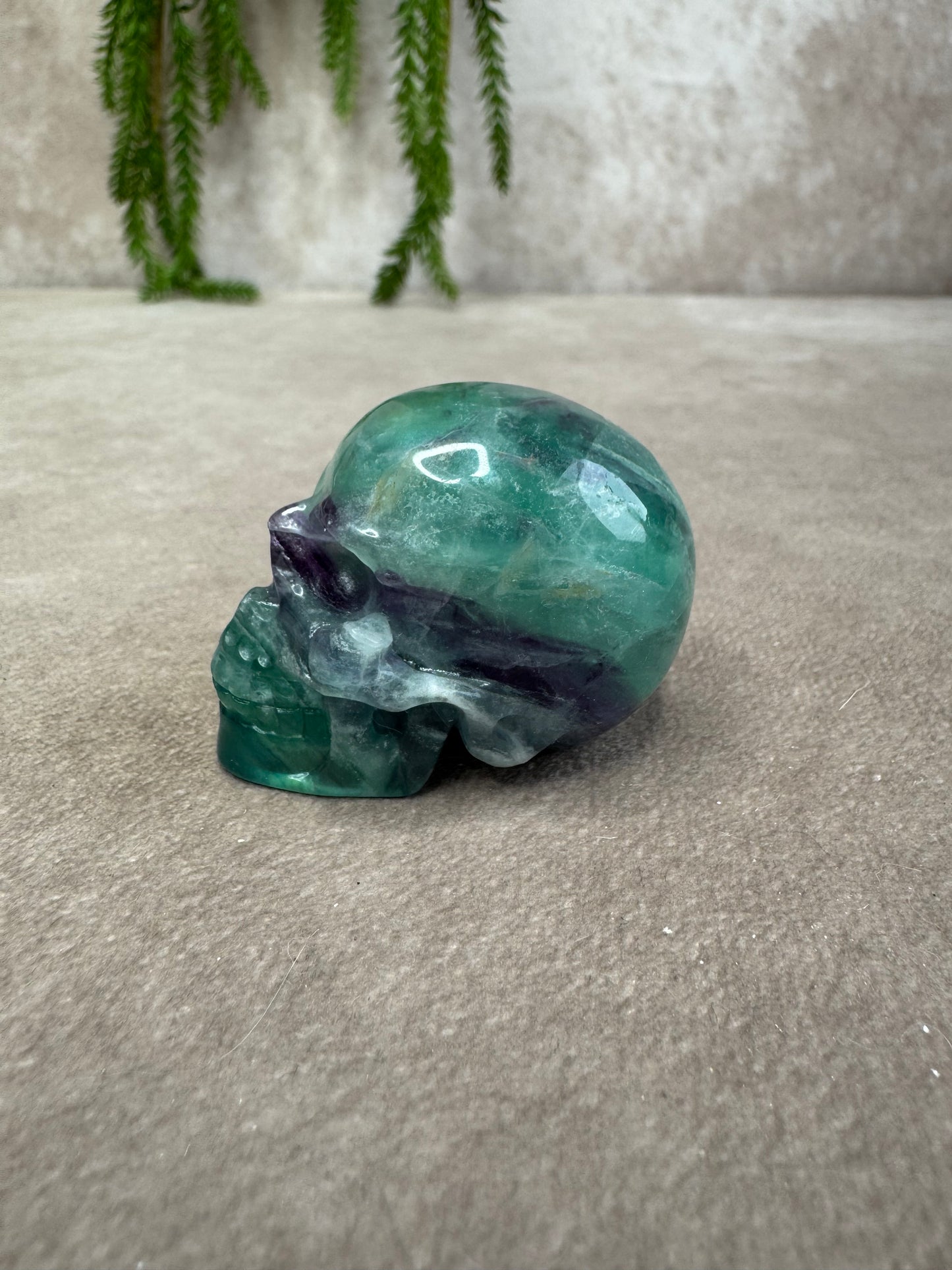 scull fluoriet #1