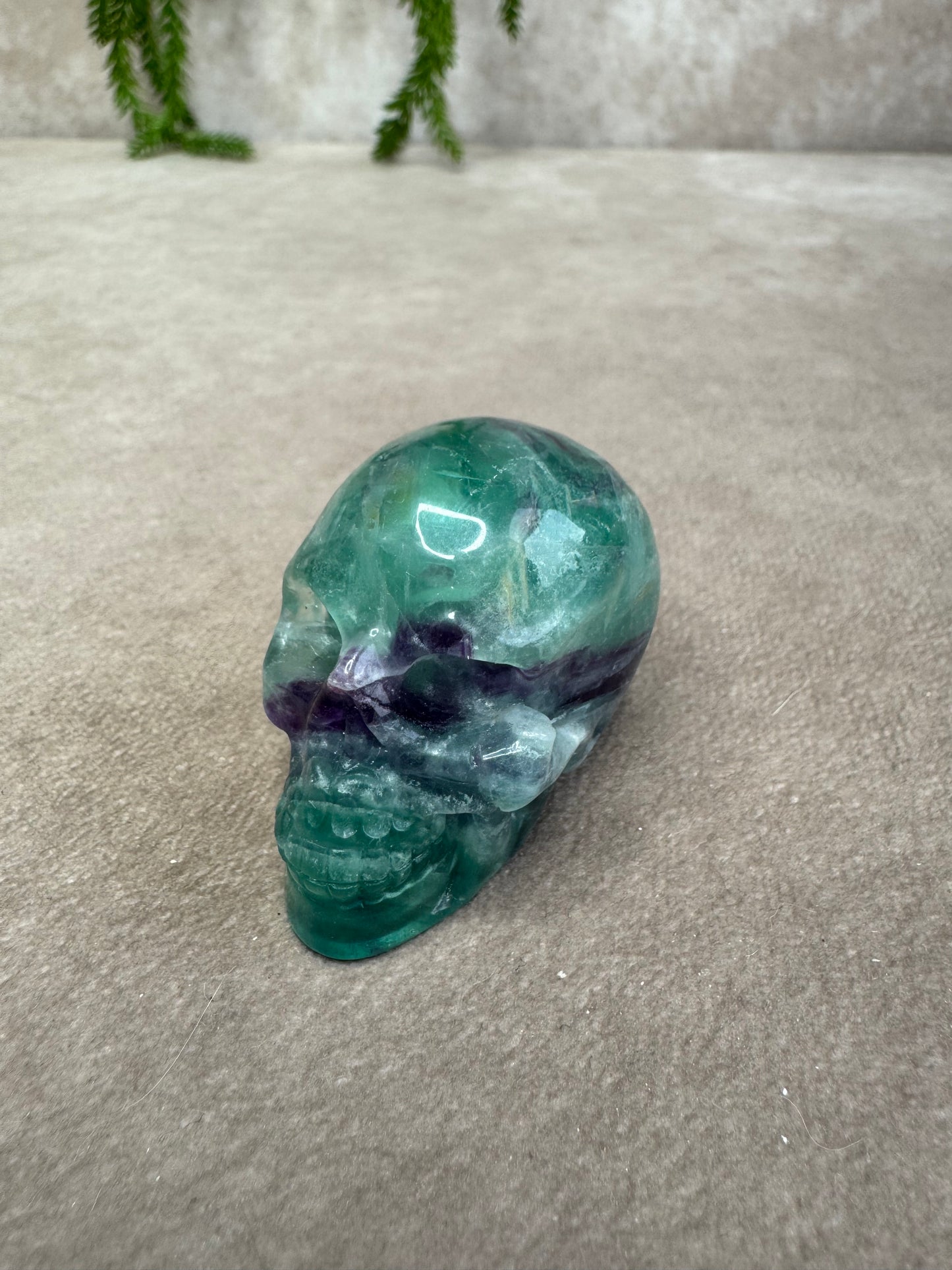 scull fluoriet #1