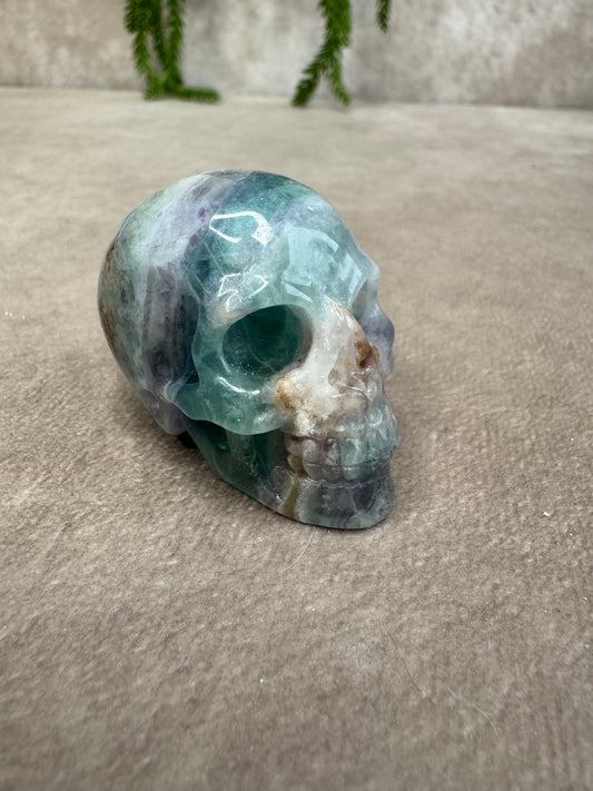 Scull #2