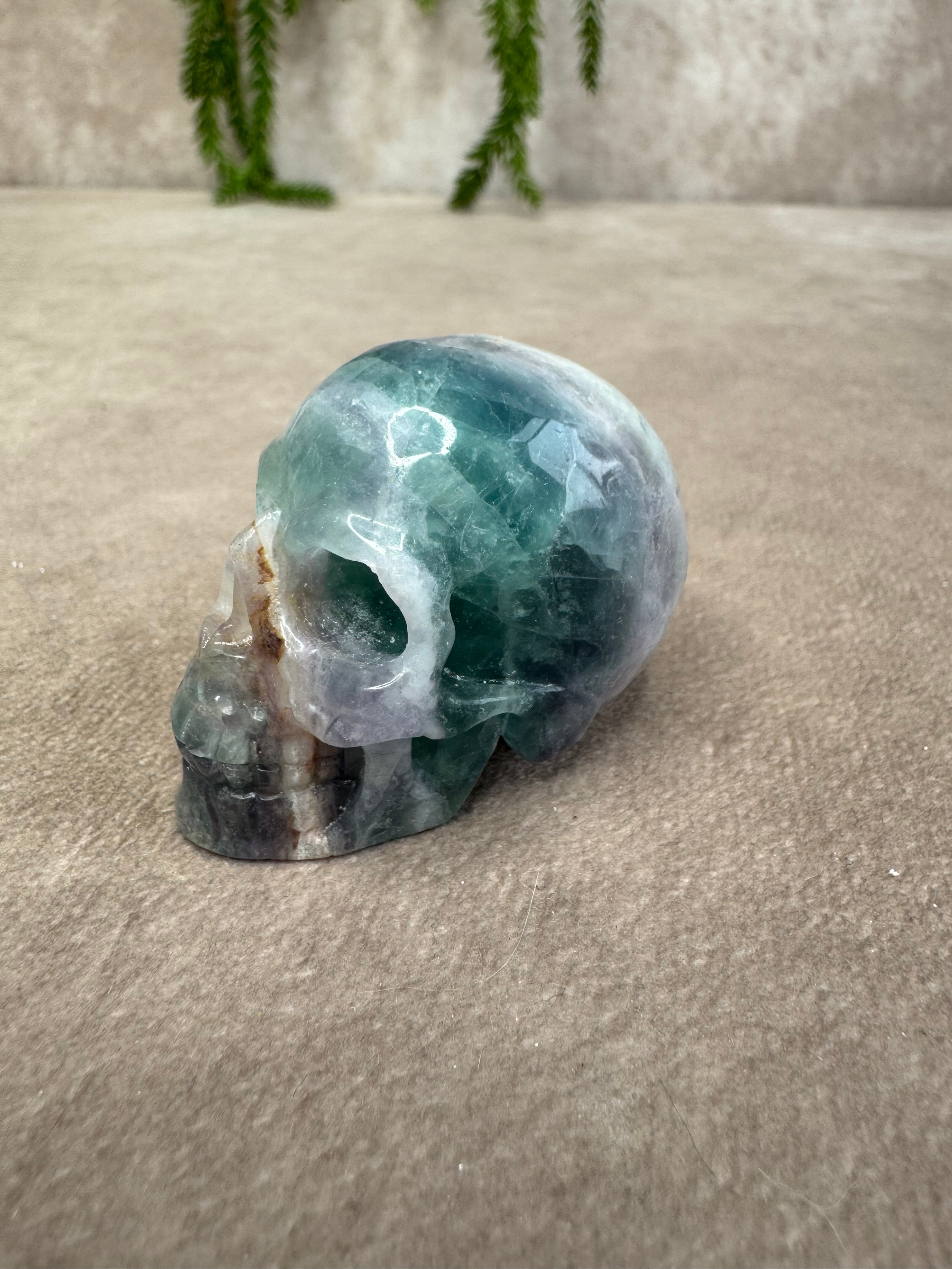 Scull #2